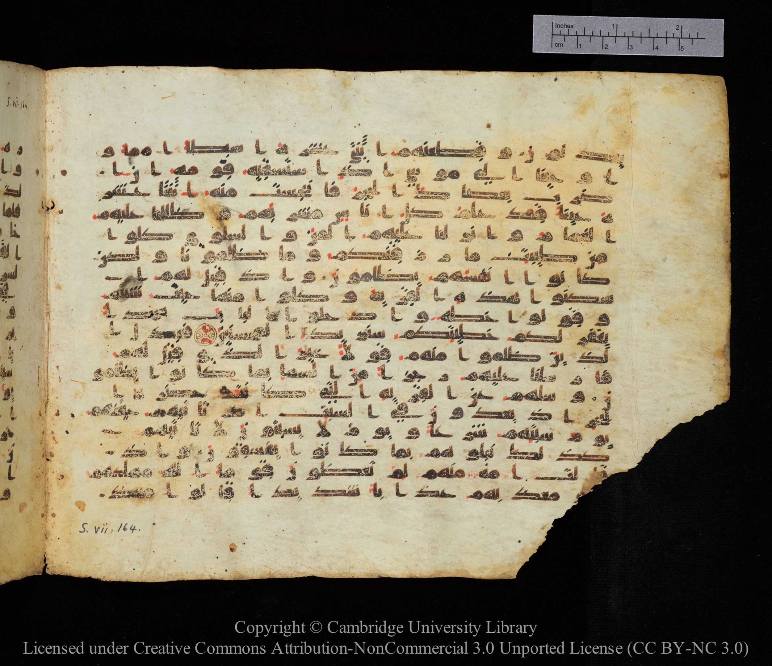 Cambridge, Cambridge University Library, MS Add.1123, in kūfī D.IV script, showing Surah 7:162 from 9th to 10th Century AD found in Sinai Peninsula, currently housed at Cambridge University Library, Cambridge