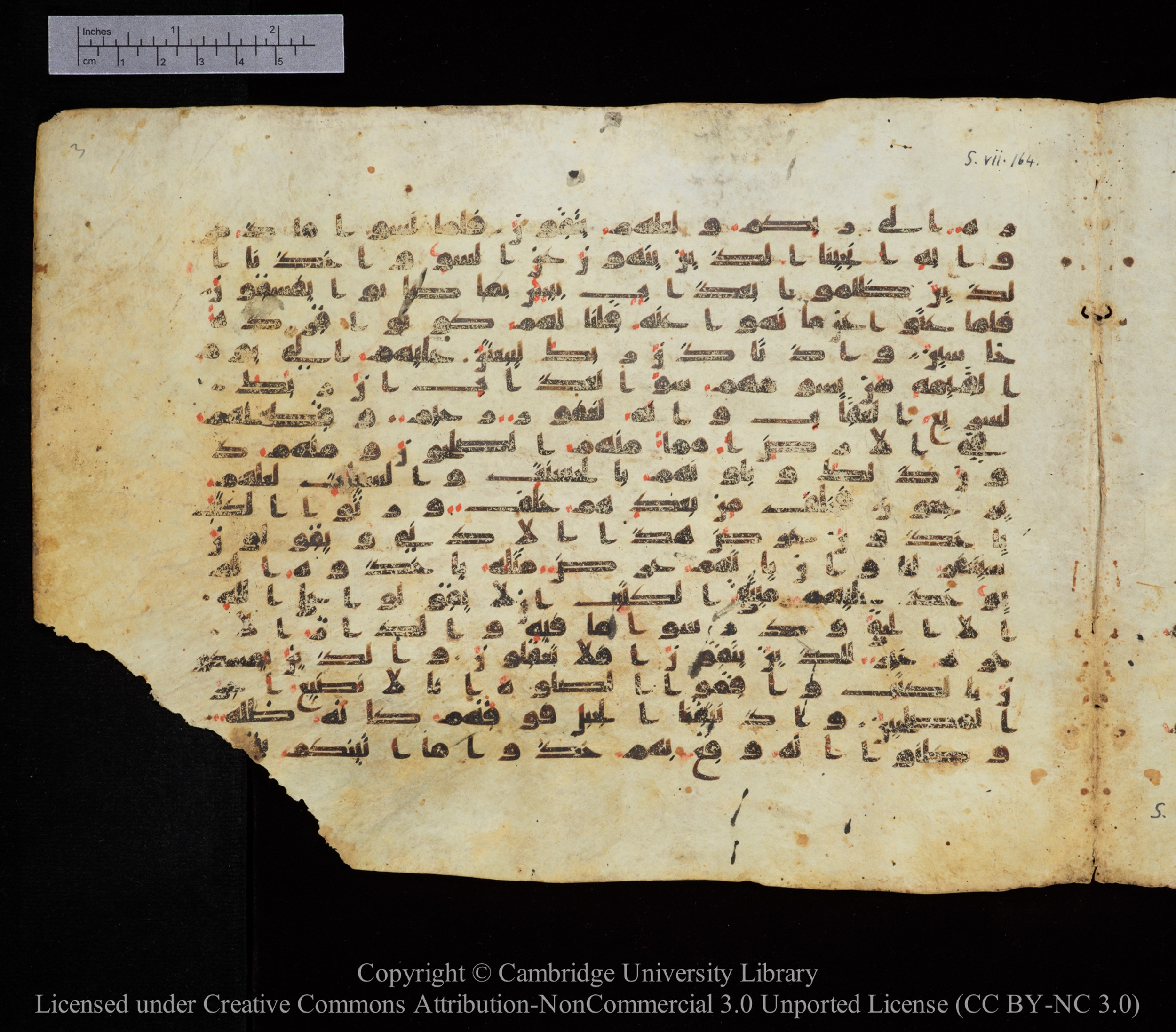 Cambridge, Cambridge University Library, MS Add.1123, in kūfī D.IV script, showing Surah 7:166 from 9th to 10th Century AD found in Sinai Peninsula, currently housed at Cambridge University Library, Cambridge