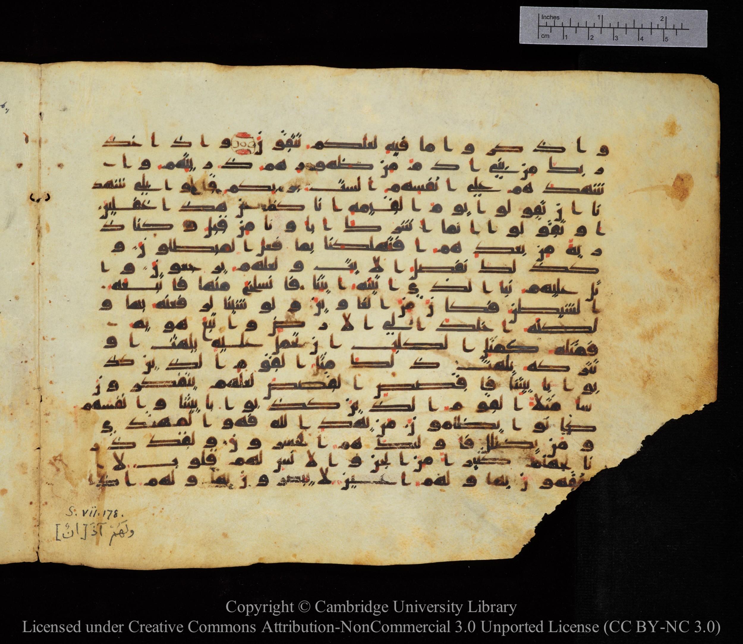 Cambridge, Cambridge University Library, MS Add.1123, in kūfī D.IV script, showing Surah 7:175 from 9th to 10th Century AD found in Sinai Peninsula, currently housed at Cambridge University Library, Cambridge