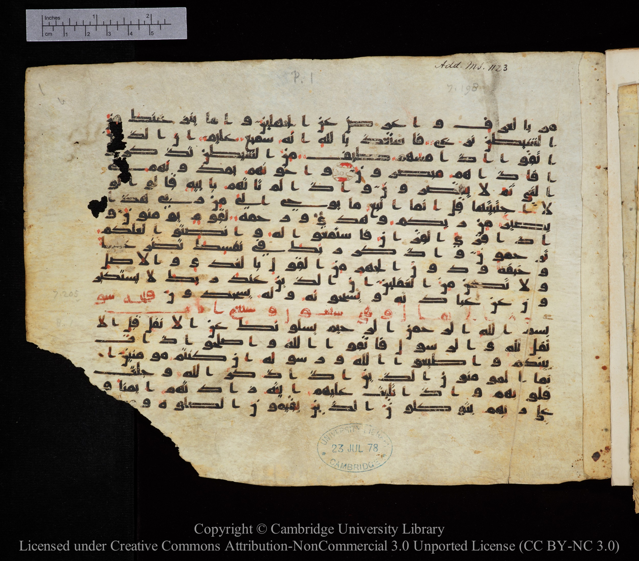 Cambridge, Cambridge University Library, MS Add.1123, in kūfī D.IV script, showing Surah 8:2 from 9th to 10th Century AD found in Sinai Peninsula, currently housed at Cambridge University Library, Cambridge