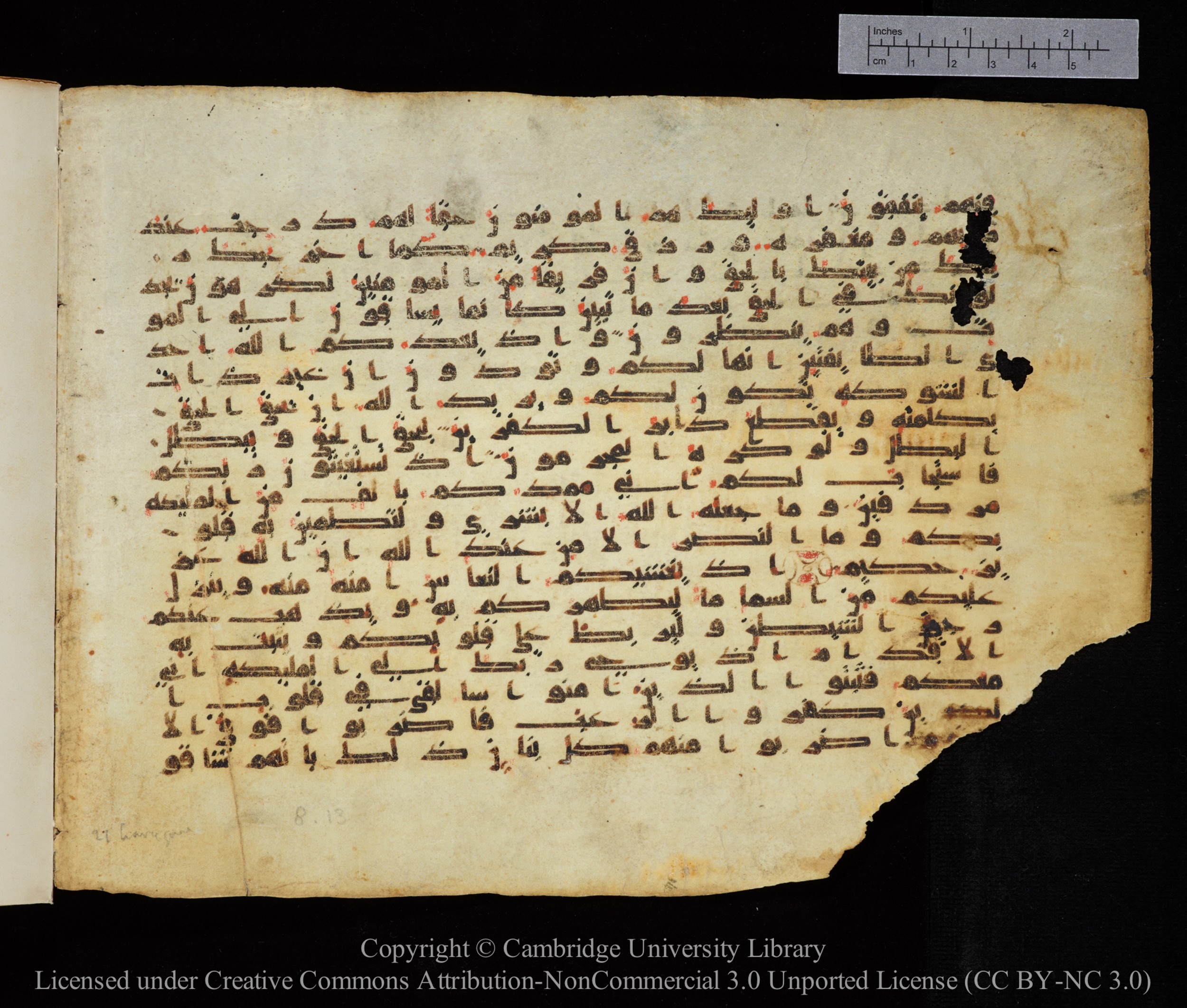 Cambridge, Cambridge University Library, MS Add.1123, in kūfī D.IV script, showing Surah 8:13 from 9th to 10th Century AD found in Sinai Peninsula, currently housed at Cambridge University Library, Cambridge