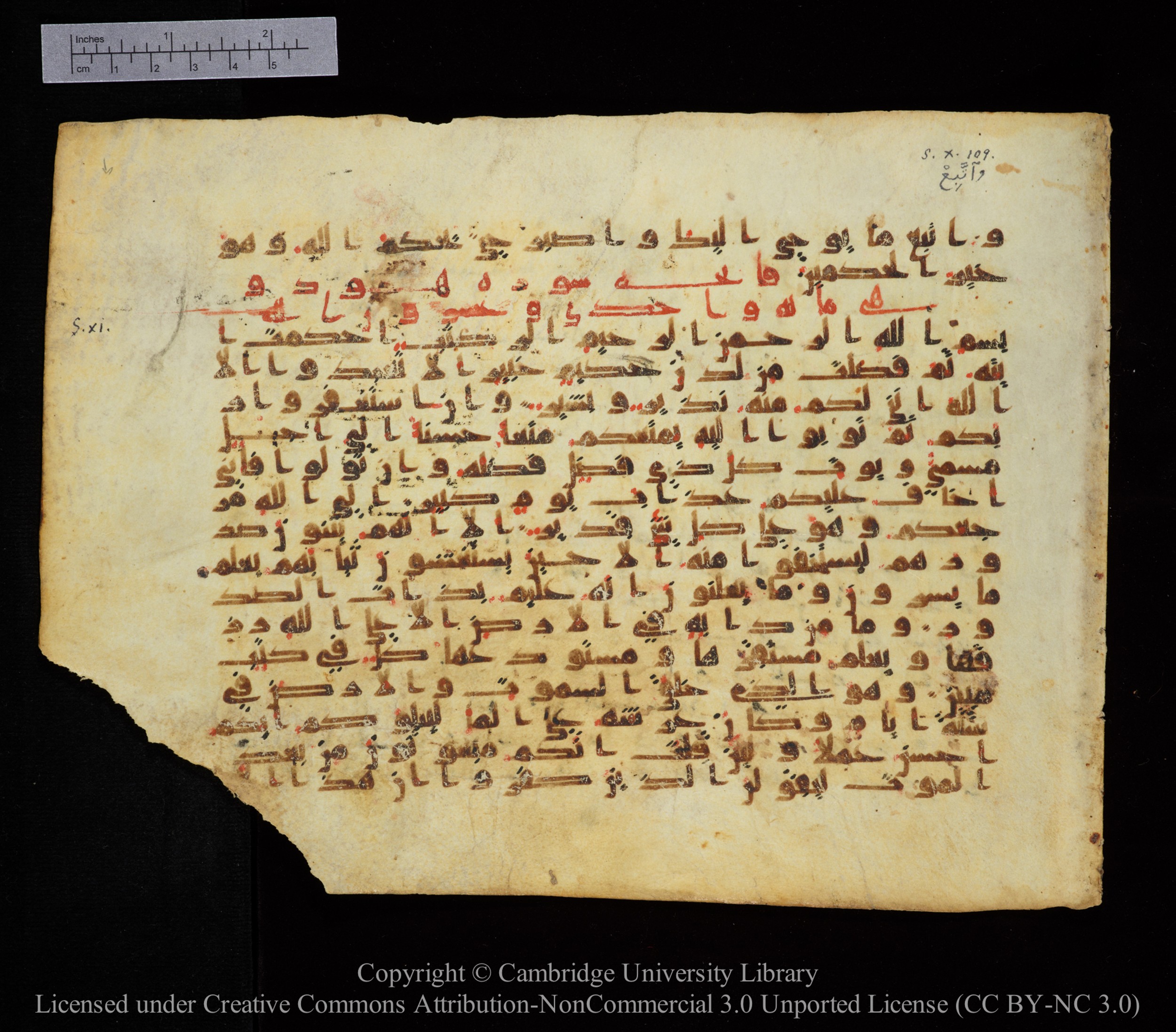 Cambridge, Cambridge University Library, MS Add.1123, in kūfī D.IV script, showing Surah 11:2 from 9th to 10th Century AD found in Sinai Peninsula, currently housed at Cambridge University Library, Cambridge