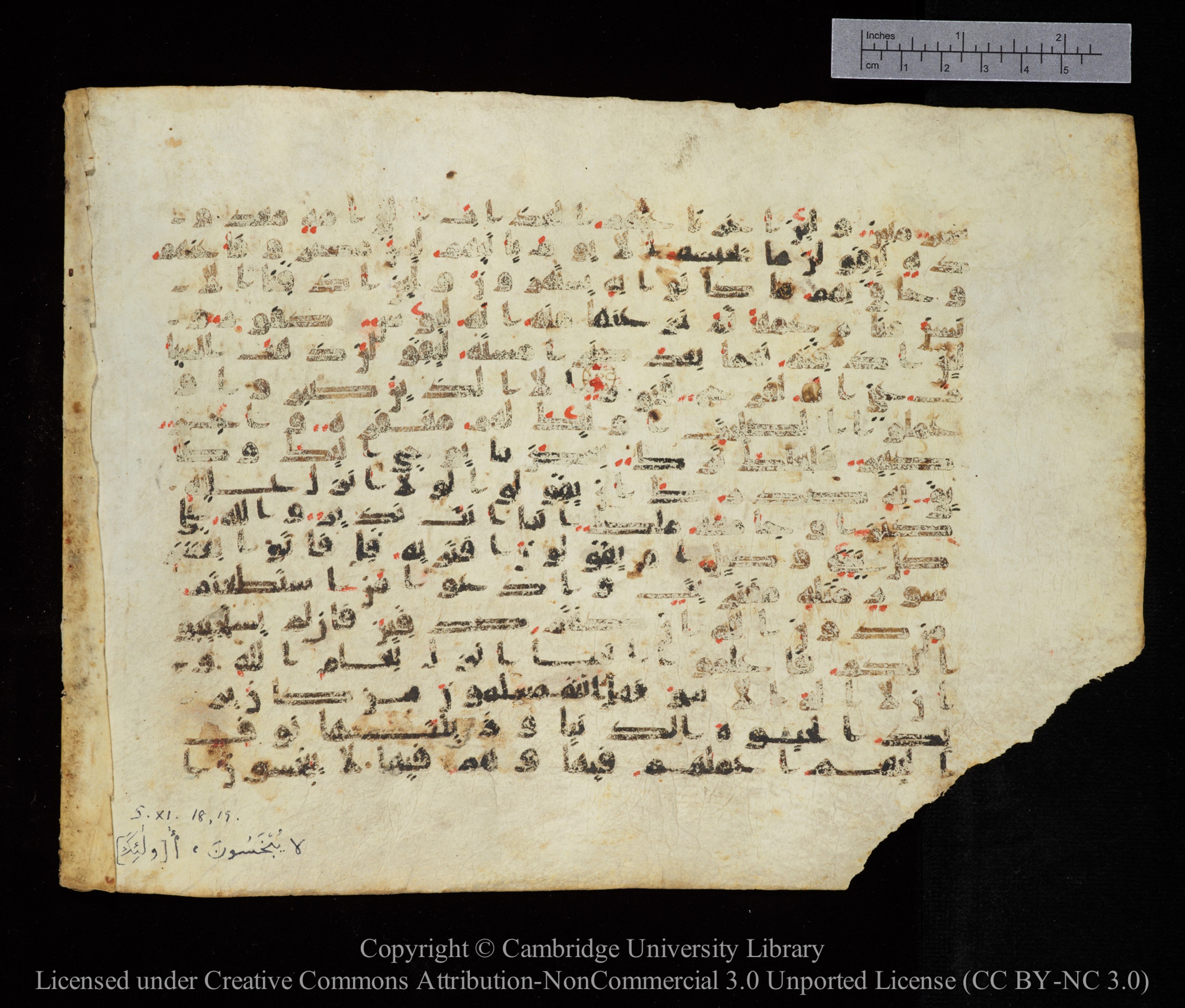 Cambridge, Cambridge University Library, MS Add.1123, in kūfī D.IV script, showing Surah 11:8 from 9th to 10th Century AD found in Sinai Peninsula, currently housed at Cambridge University Library, Cambridge