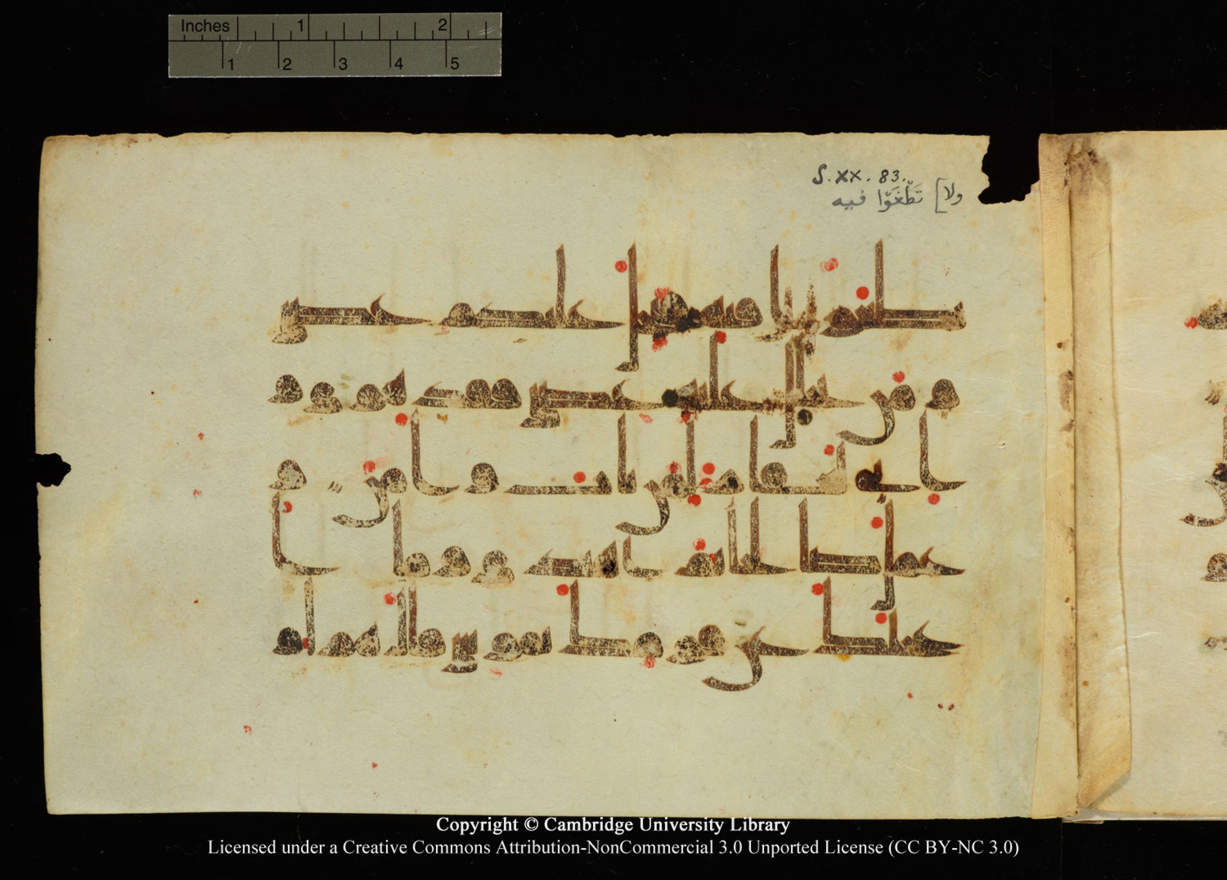 Cambridge University Library, MS Add.1135, in kūfī D I script, showing Surah 20:83 from 9th Century AD found in Sinai Peninsula, currently housed at Cambridge University Library, Cambridge