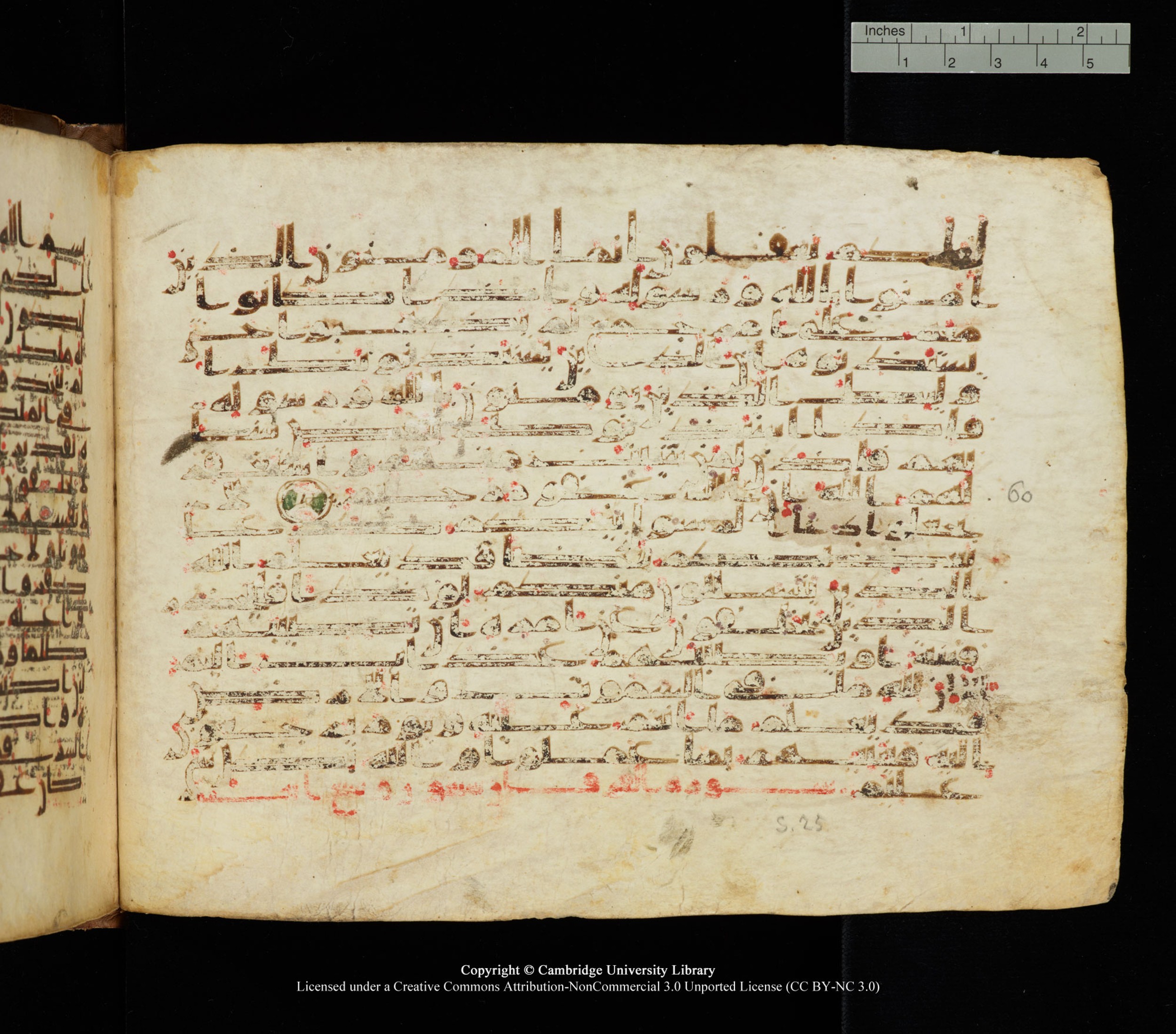 Cambridge University Library, MS Add.1139, in Kūfī C II script, showing Surah 24:62 from 10th or 11th century AD found in Sinai Peninsula, currently housed at Cambridge University Library, Cambridge