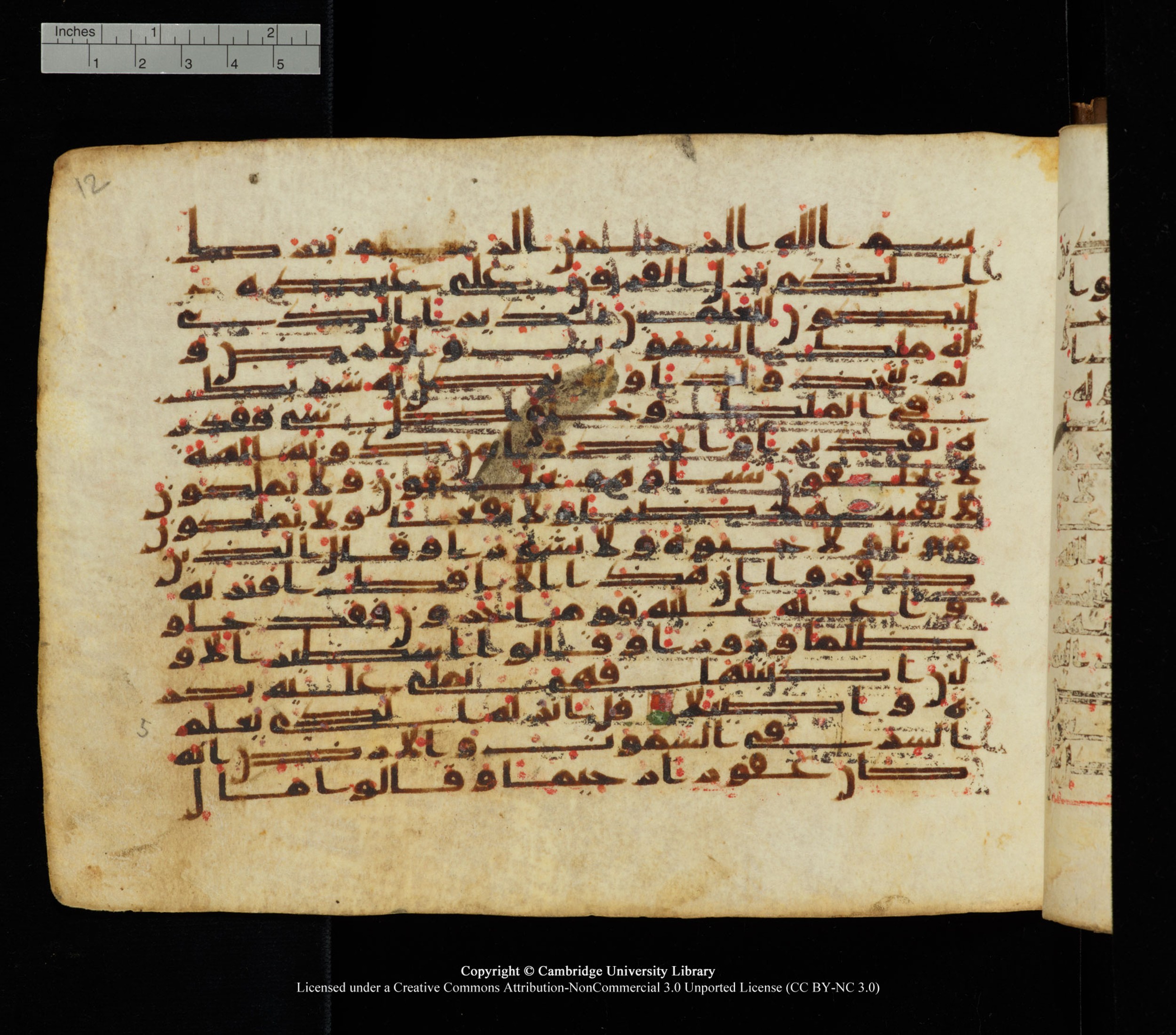 Cambridge University Library, MS Add.1139, in Kūfī C II script, showing Surah 25:3 from 10th or 11th century AD found in Sinai Peninsula, currently housed at Cambridge University Library, Cambridge