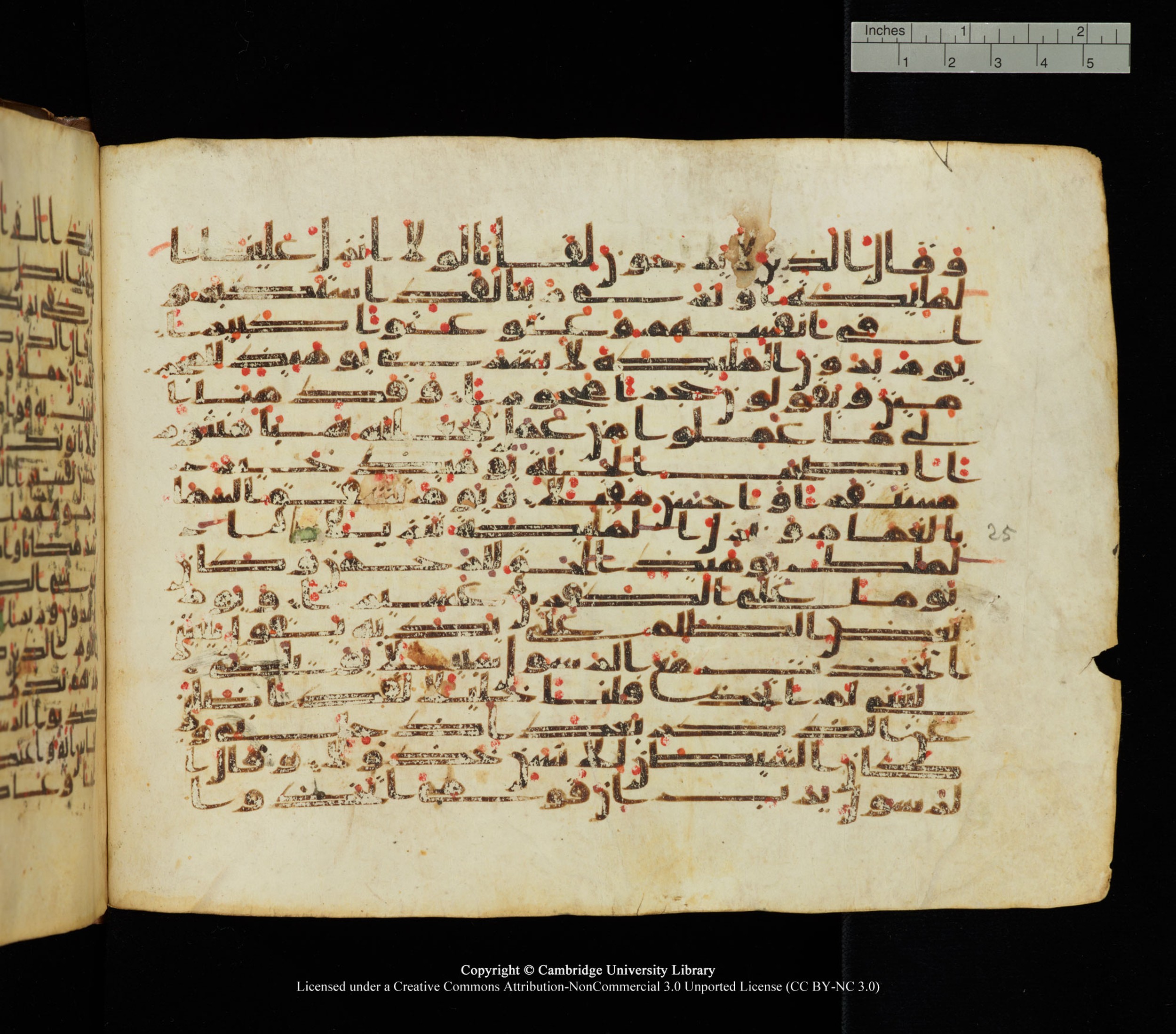 Cambridge University Library, MS Add.1139, in Kūfī C II script, showing Surah 25:21 from 10th or 11th century AD found in Sinai Peninsula, currently housed at Cambridge University Library, Cambridge