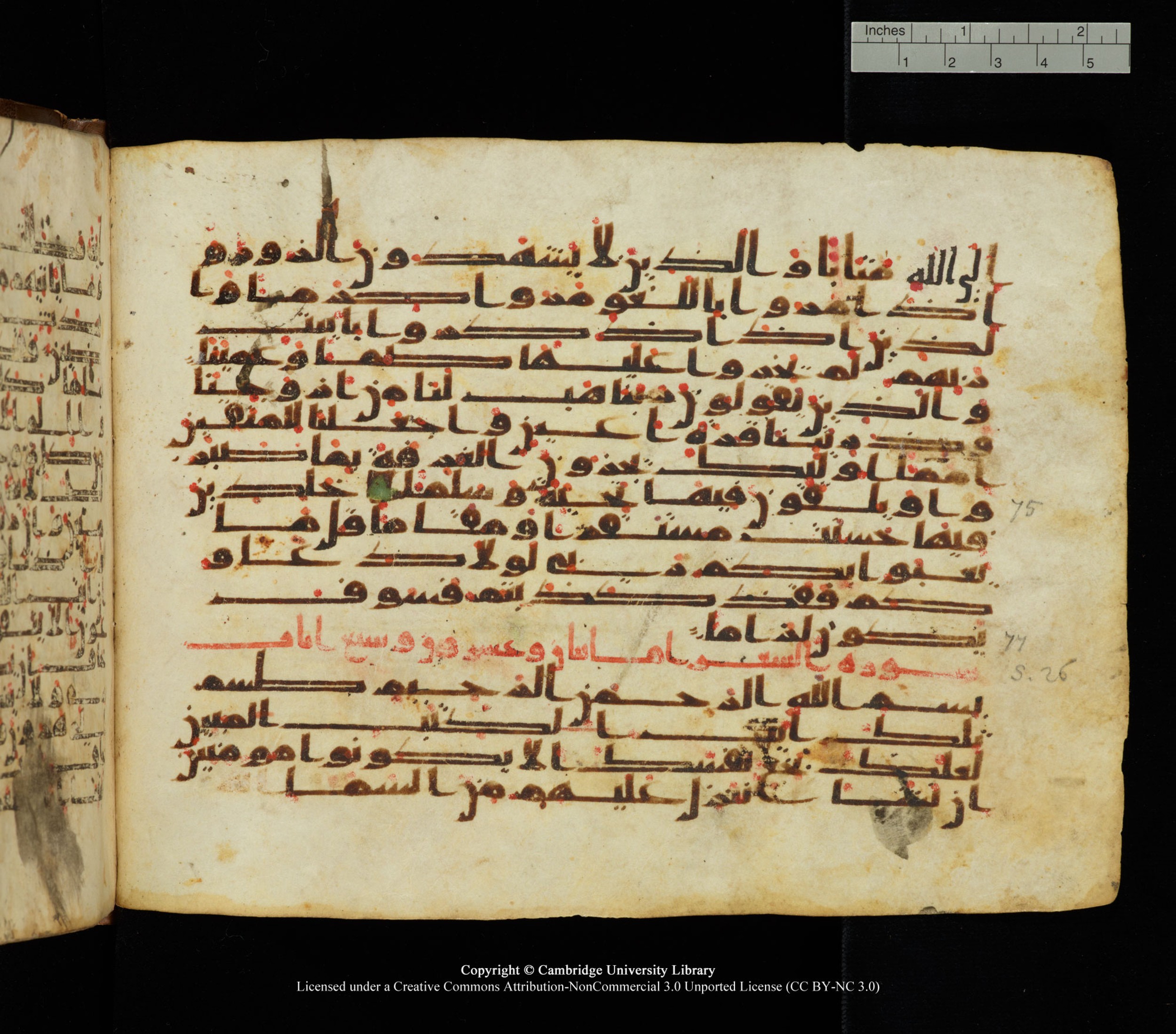Cambridge University Library, MS Add.1139, in Kūfī C II script, showing Surah 26:2 from 10th or 11th century AD found in Sinai Peninsula, currently housed at Cambridge University Library, Cambridge