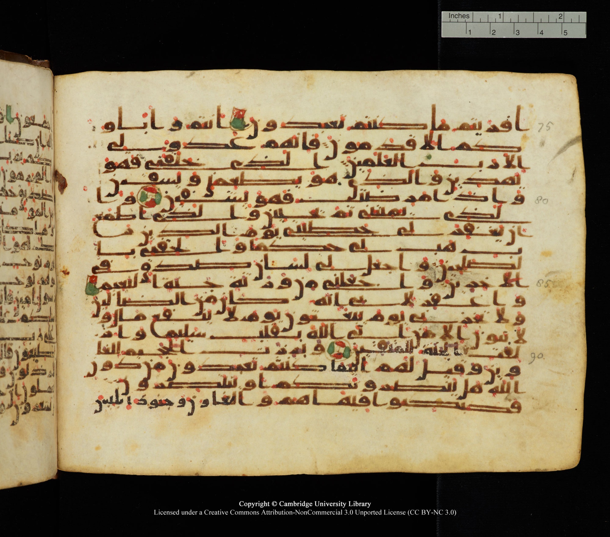 Cambridge University Library, MS Add.1139, in Kūfī C II script, showing Surah 26:83 from 10th or 11th century AD found in Sinai Peninsula, currently housed at Cambridge University Library, Cambridge