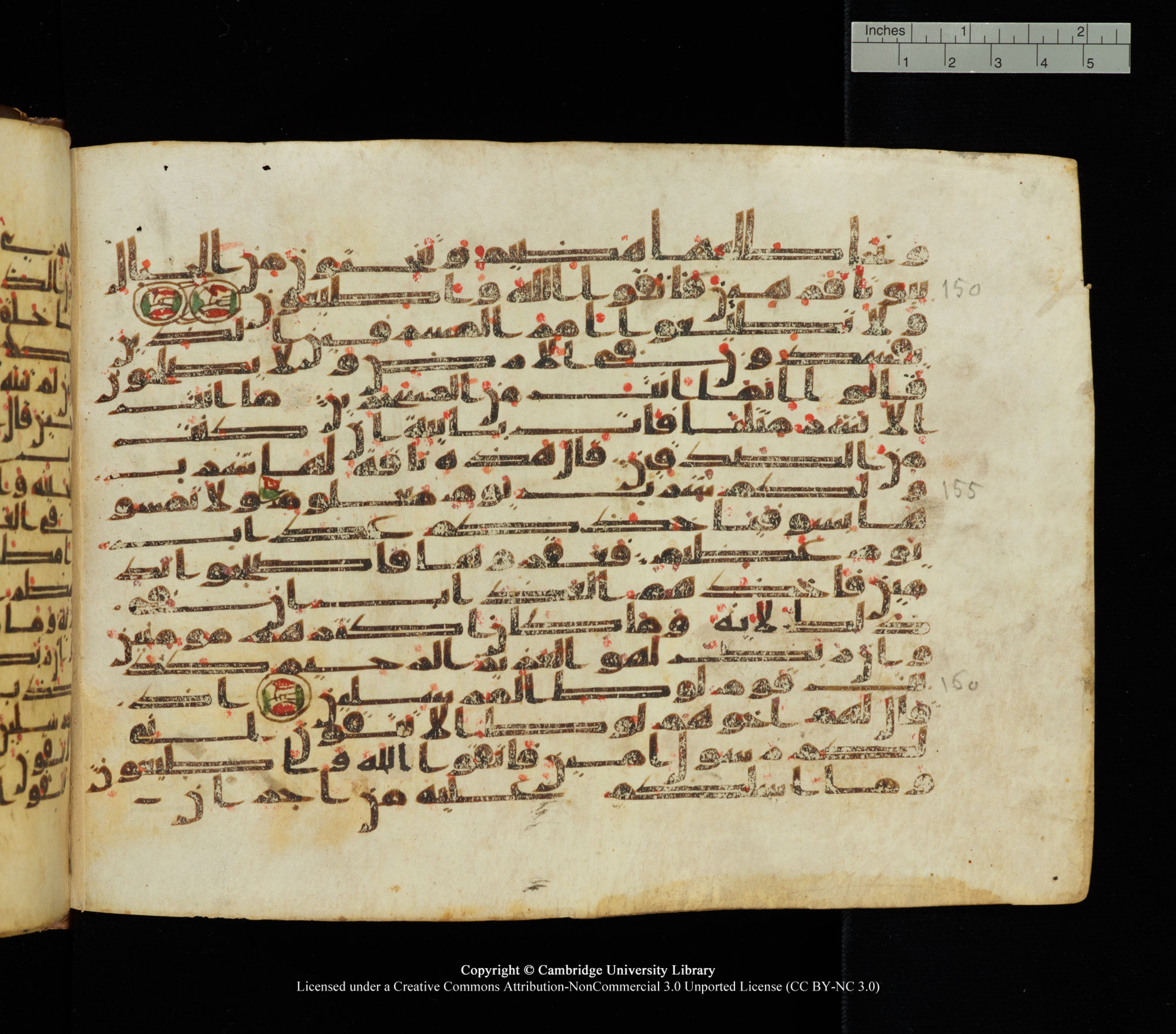 Cambridge University Library, MS Add.1139, in Kūfī C II script, showing Surah 26:151 from 10th or 11th century AD found in Sinai Peninsula, currently housed at Cambridge University Library, Cambridge