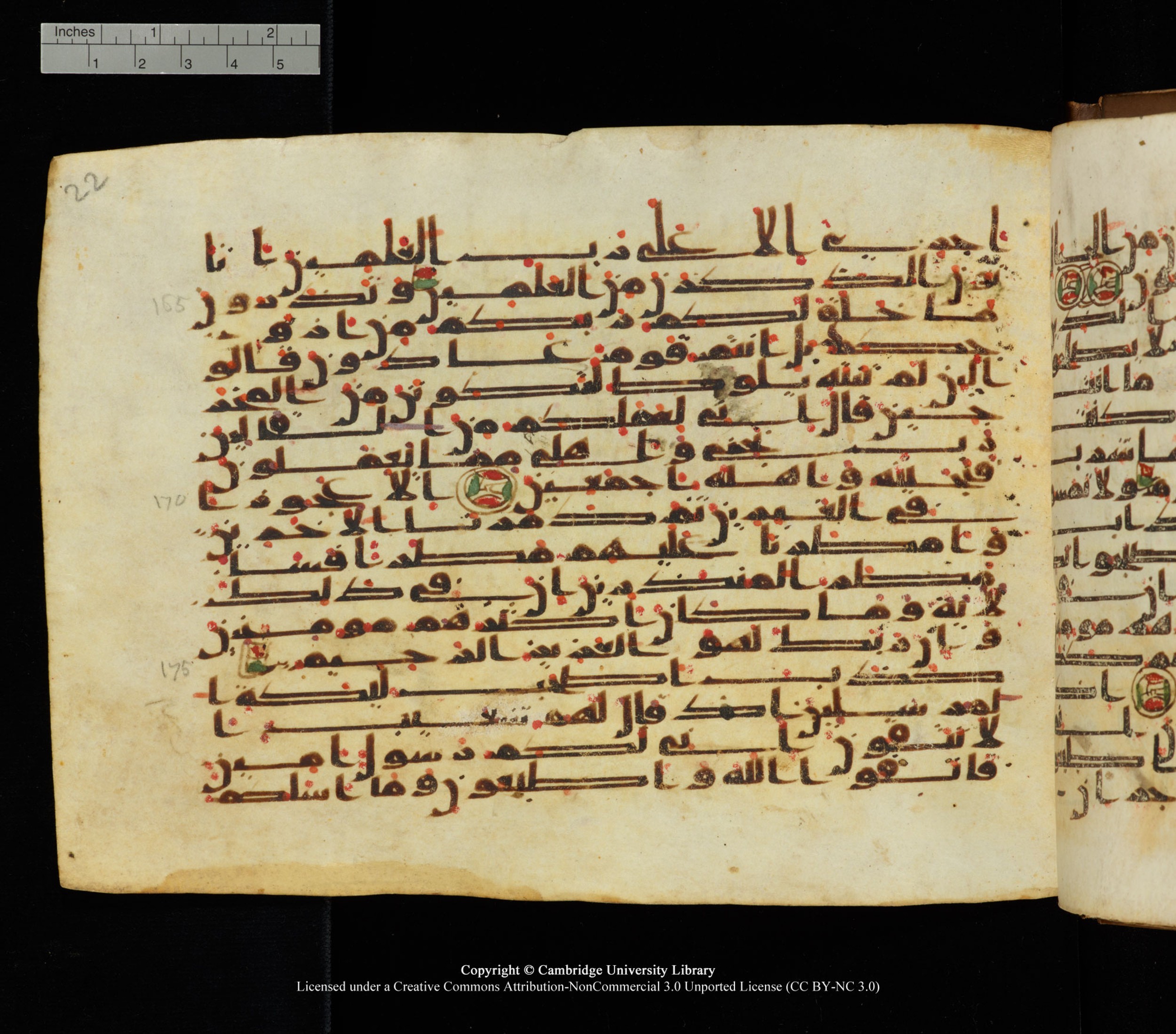 Cambridge University Library, MS Add.1139, in Kūfī C II script, showing Surah 26:175 from 10th or 11th century AD found in Sinai Peninsula, currently housed at Cambridge University Library, Cambridge