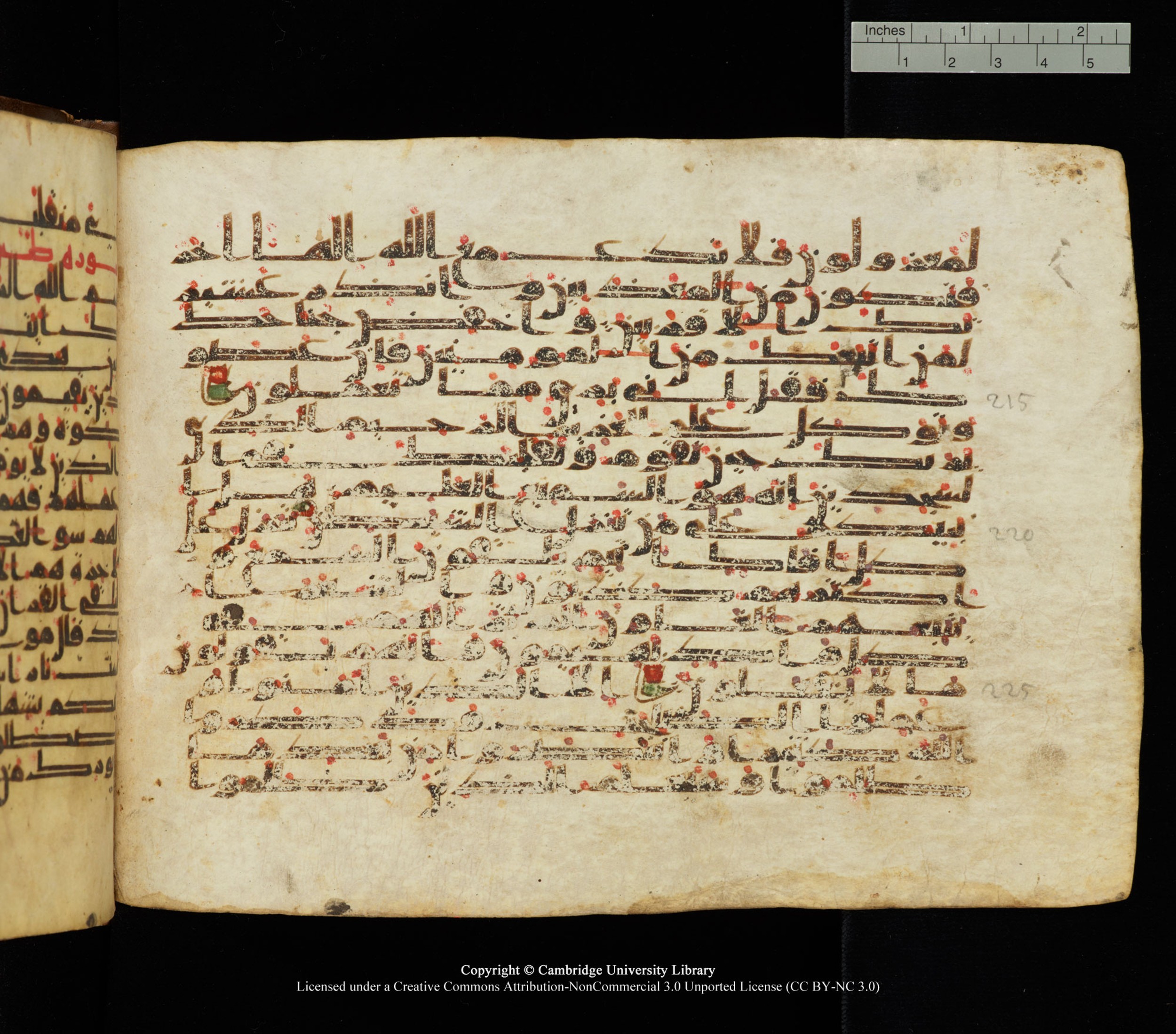 Cambridge University Library, MS Add.1139, in Kūfī C II script, showing Surah 26:217 from 10th or 11th century AD found in Sinai Peninsula, currently housed at Cambridge University Library, Cambridge