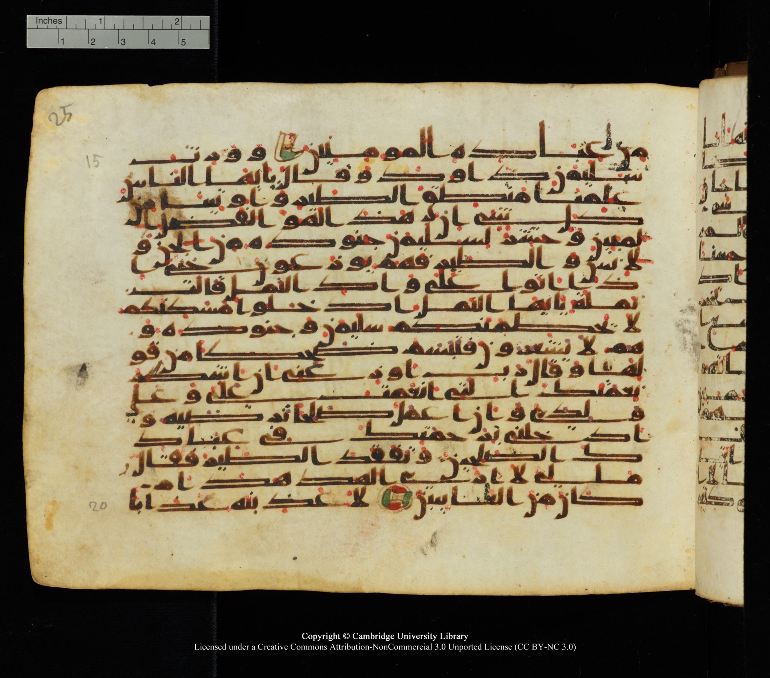 Cambridge University Library, MS Add.1139 (Scan 1), in Kūfī C II script, showing Surah 27:21 from 10th or 11th century AD found in Sinai Peninsula, currently housed at Cambridge University Library, Cambridge
