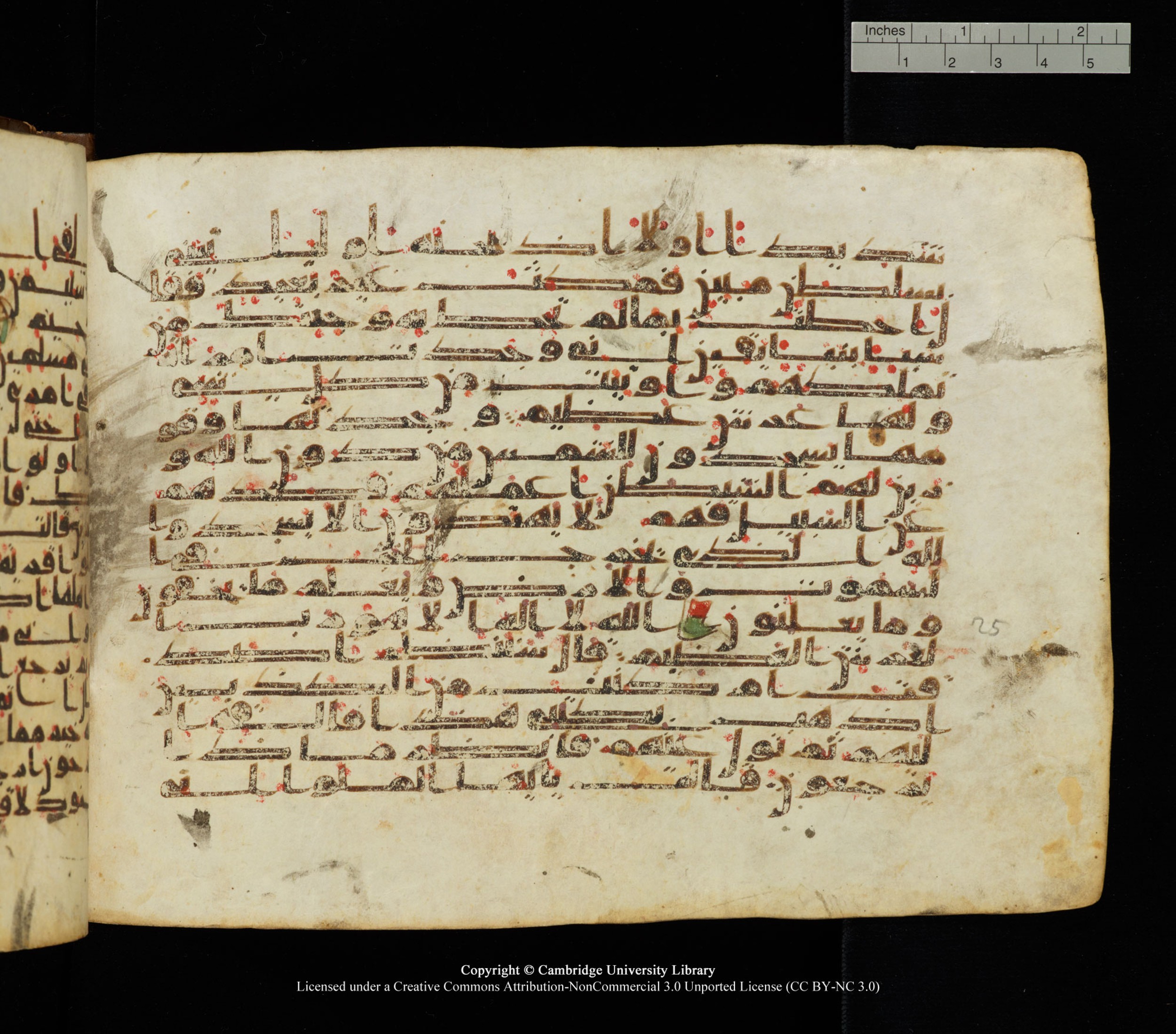 Cambridge University Library, MS Add.1139 (Scan 2), in Kūfī C II script, showing Surah 27:21 from 10th or 11th century AD found in Sinai Peninsula, currently housed at Cambridge University Library, Cambridge
