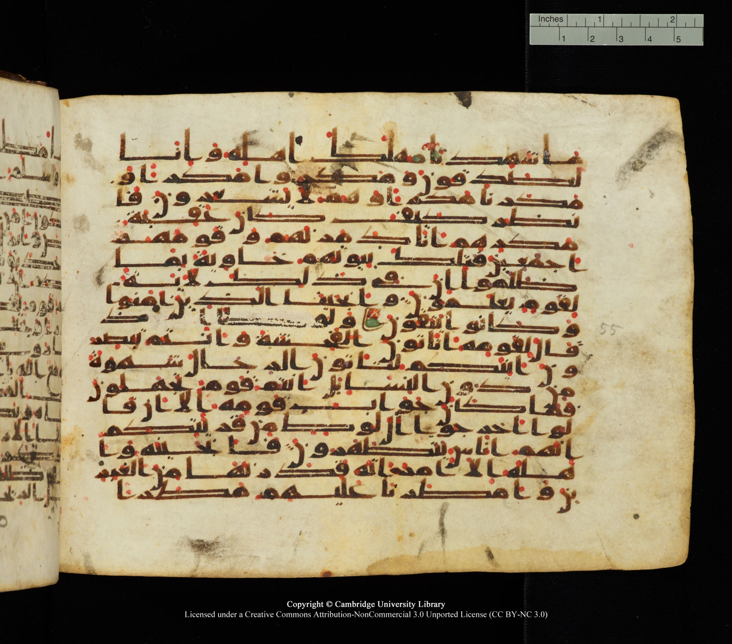 Cambridge University Library, MS Add.1139, in Kūfī C II script, showing Surah 27:52 from 10th or 11th century AD found in Sinai Peninsula, currently housed at Cambridge University Library, Cambridge