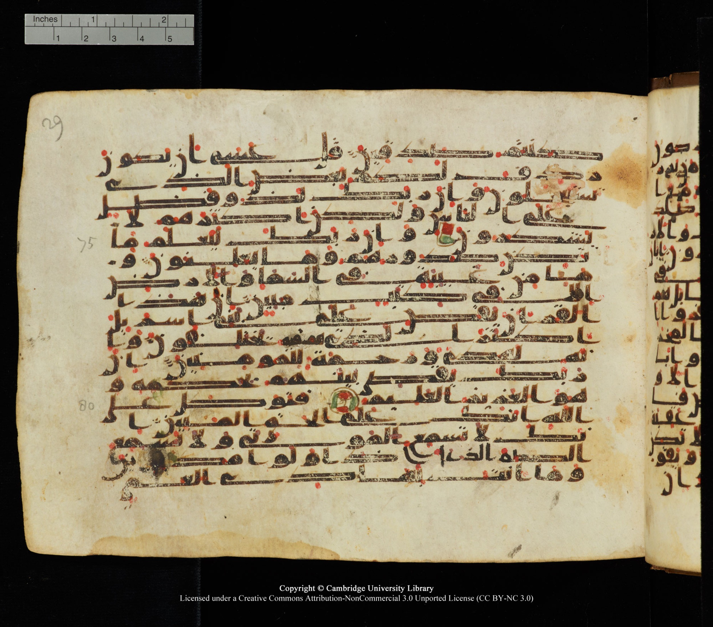 Cambridge University Library, MS Add.1139 (Scan 2), in Kūfī C II script, showing Surah 27:71 from 10th or 11th century AD found in Sinai Peninsula, currently housed at Cambridge University Library, Cambridge