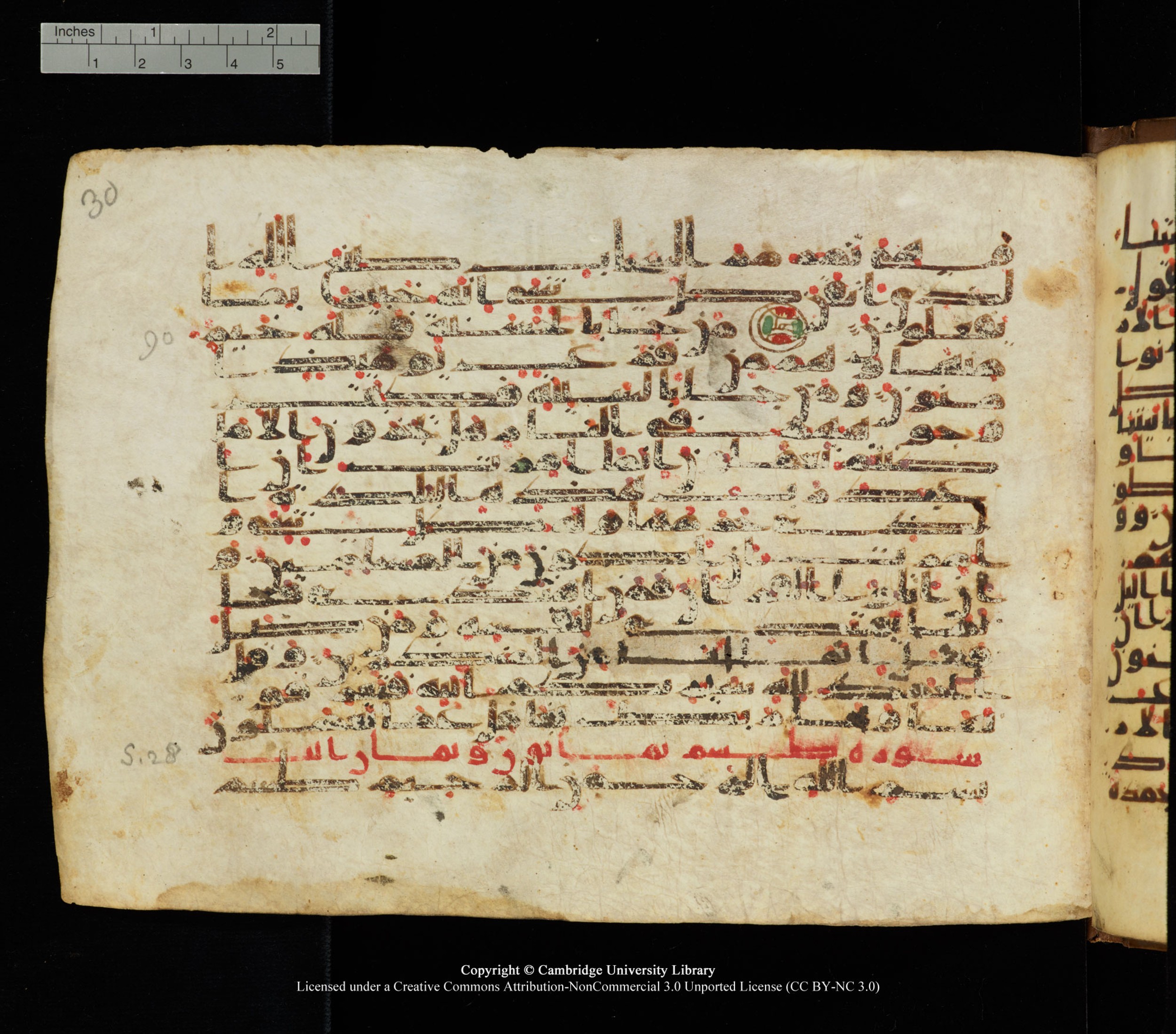 Cambridge University Library, MS Add.1139, in Kūfī C II script, showing Surah 28:1 from 10th or 11th century AD found in Sinai Peninsula, currently housed at Cambridge University Library, Cambridge