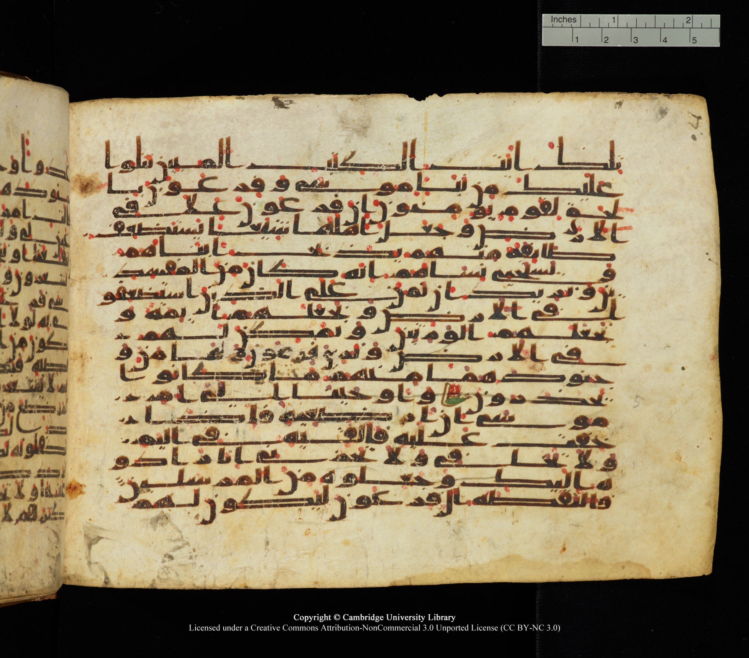 Cambridge University Library, MS Add.1139, in Kūfī C II script, showing Surah 28:2 from 10th or 11th century AD found in Sinai Peninsula, currently housed at Cambridge University Library, Cambridge