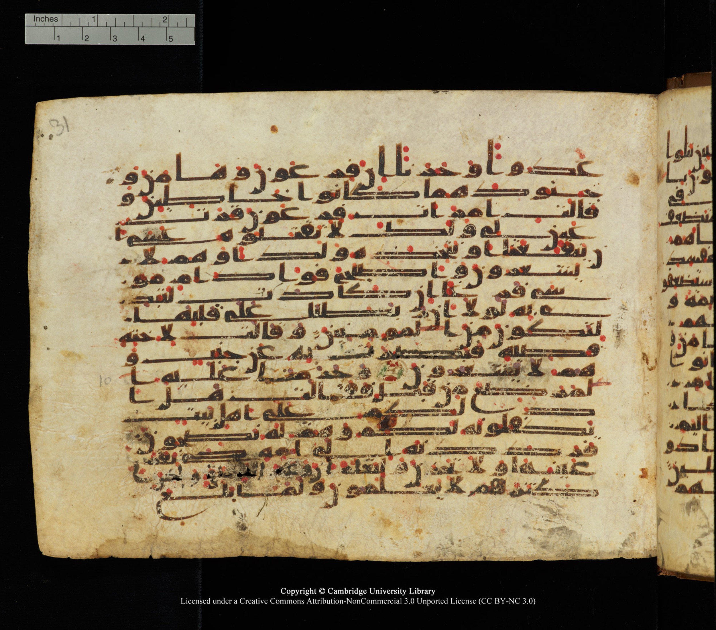 Cambridge University Library, MS Add.1139 (Scan 2), in Kūfī C II script, showing Surah 28:8 from 10th or 11th century AD found in Sinai Peninsula, currently housed at Cambridge University Library, Cambridge