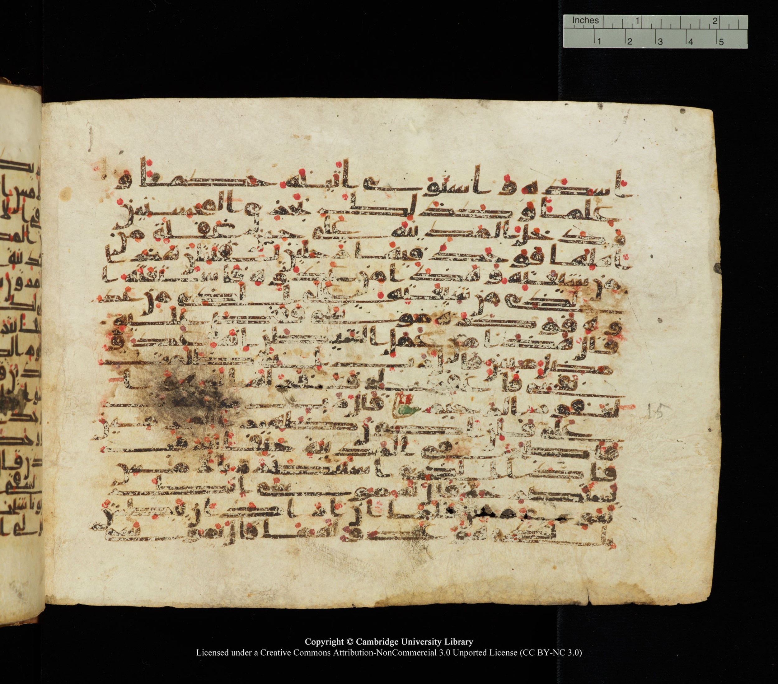 Cambridge University Library, MS Add.1139, in Kūfī C II script, showing Surah 28:16 from 10th or 11th century AD found in Sinai Peninsula, currently housed at Cambridge University Library, Cambridge