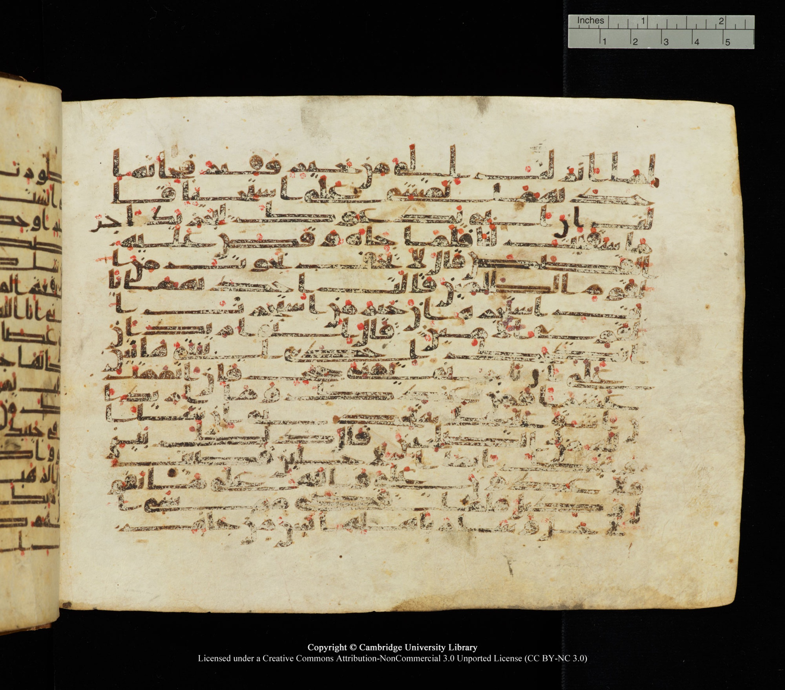 Cambridge University Library, MS Add.1139 (Scan 1), in Kūfī C II script, showing Surah 28:29 from 10th or 11th century AD found in Sinai Peninsula, currently housed at Cambridge University Library, Cambridge