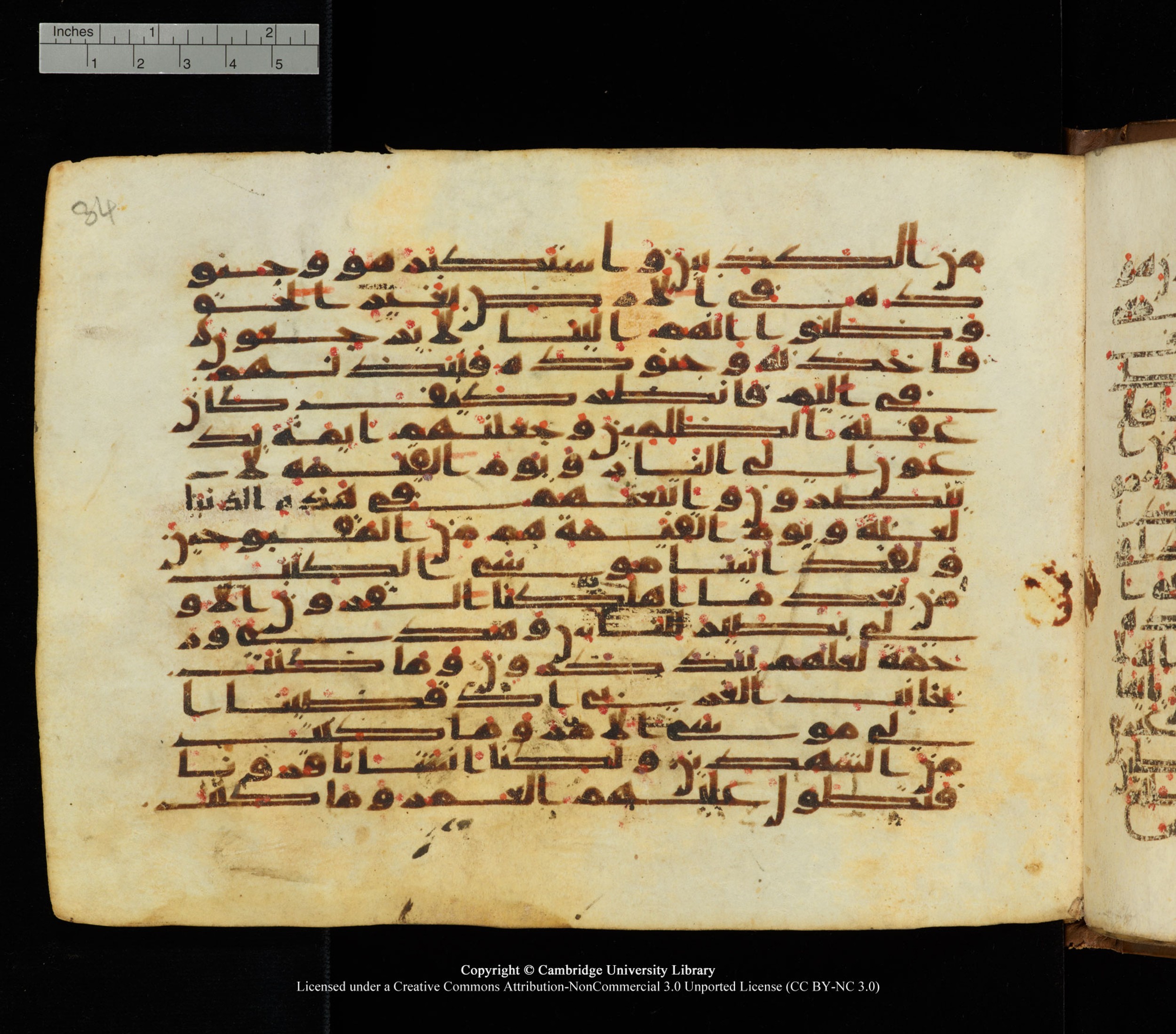 Cambridge University Library, MS Add.1139, in Kūfī C II script, showing Surah 28:39 from 10th or 11th century AD found in Sinai Peninsula, currently housed at Cambridge University Library, Cambridge