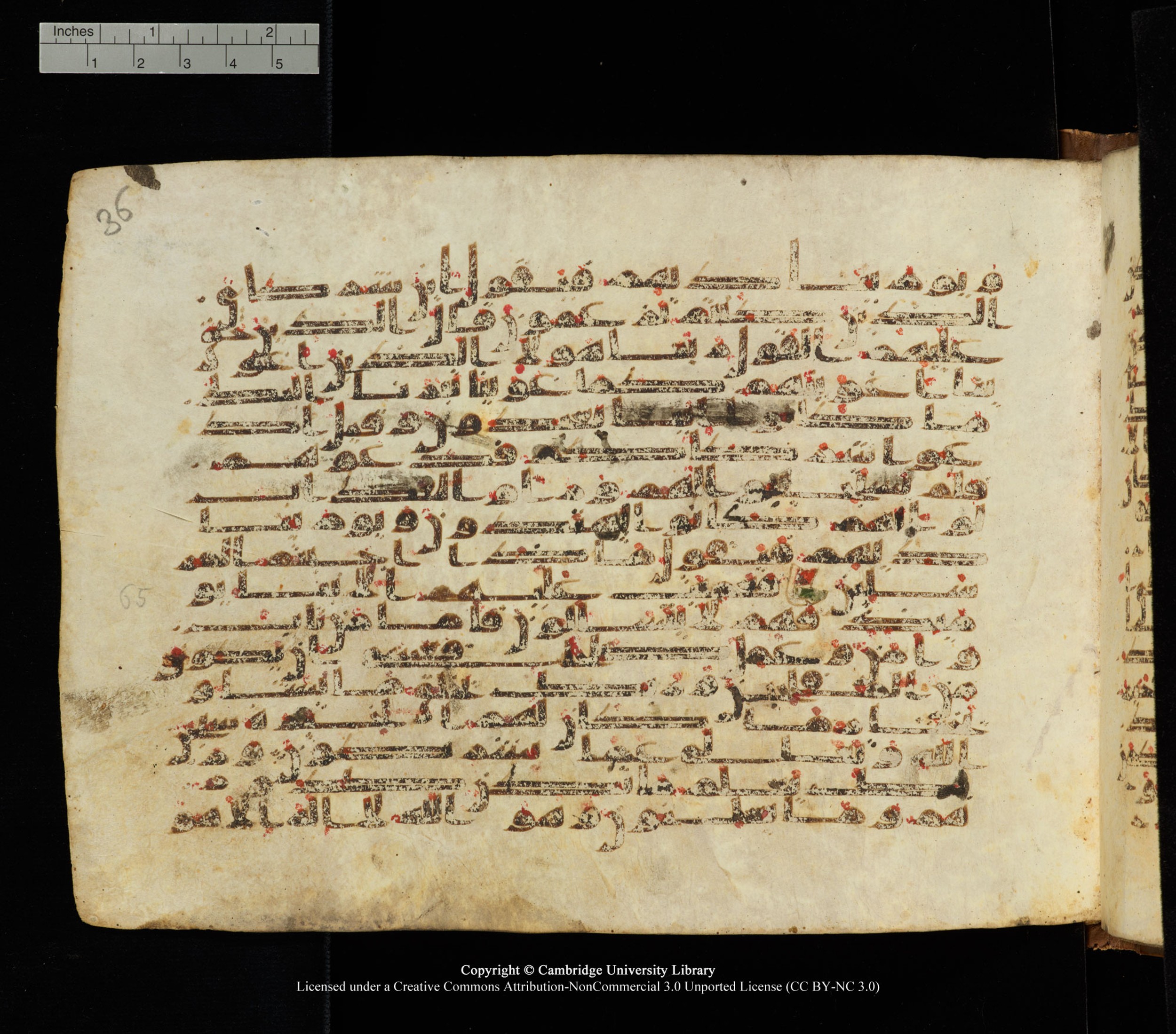 Cambridge University Library, MS Add.1139, in Kūfī C II script, showing Surah 28:69 from 10th or 11th century AD found in Sinai Peninsula, currently housed at Cambridge University Library, Cambridge