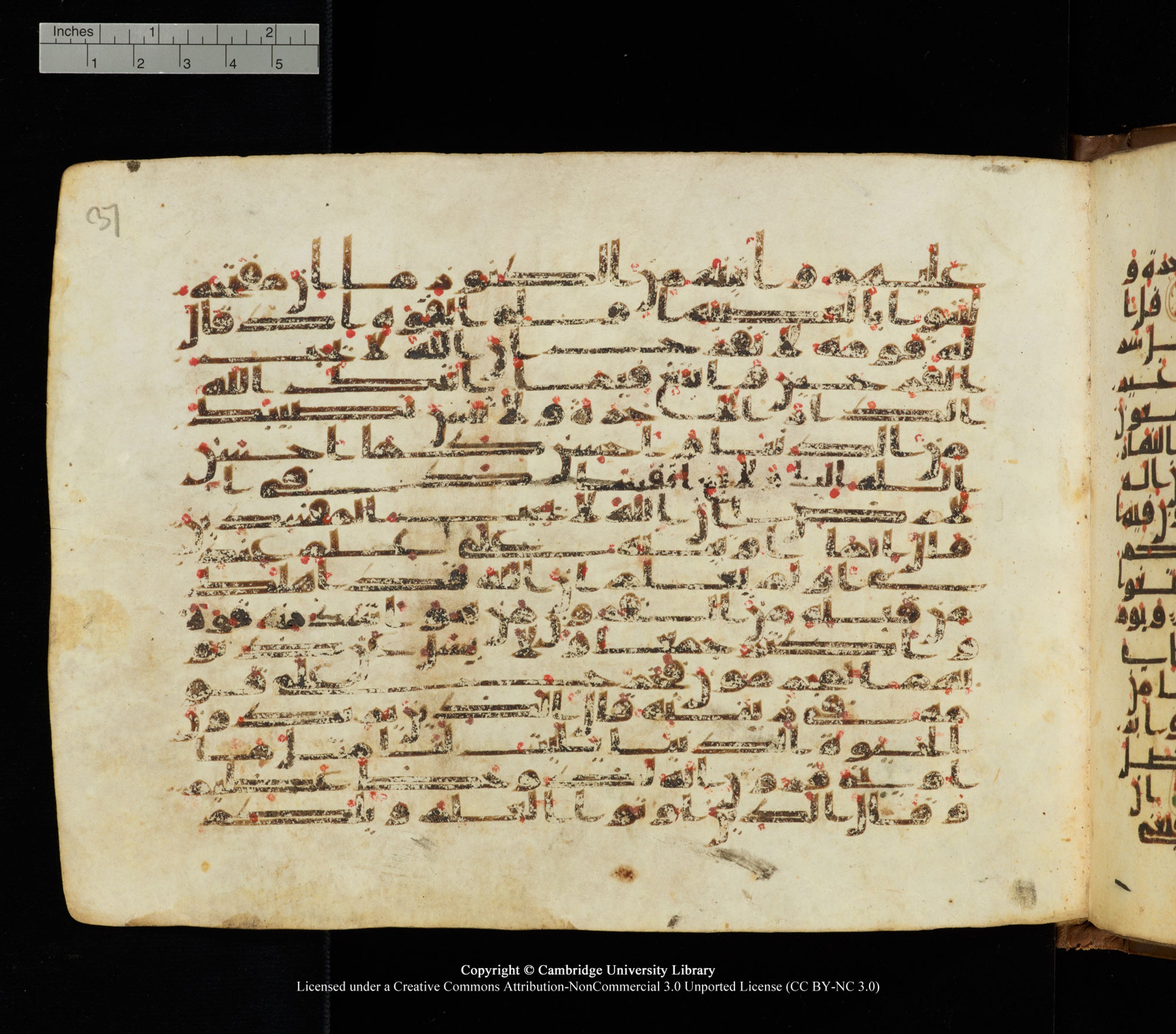Cambridge University Library, MS Add.1139 (Scan 2), in Kūfī C II script, showing Surah 28:76 from 10th or 11th century AD found in Sinai Peninsula, currently housed at Cambridge University Library, Cambridge