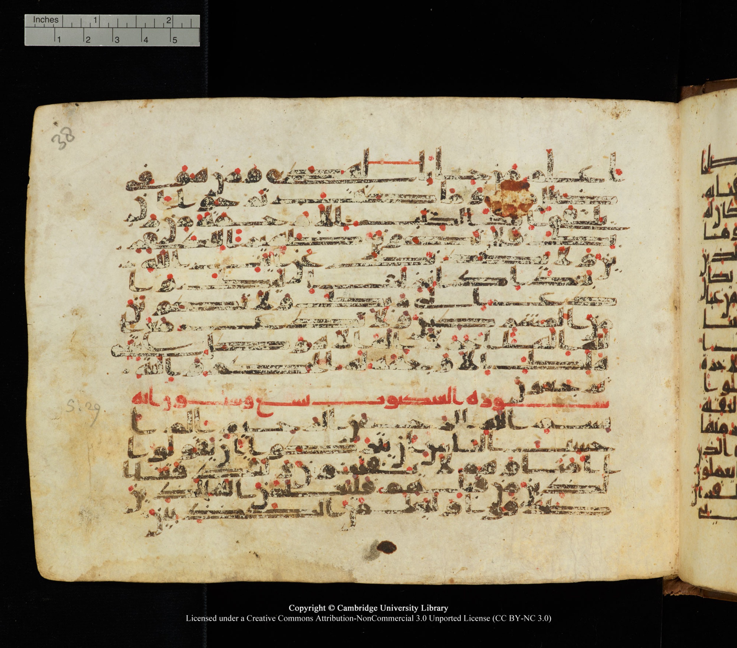 Cambridge University Library, MS Add.1139, in Kūfī C II script, showing Surah 29:3 from 10th or 11th century AD found in Sinai Peninsula, currently housed at Cambridge University Library, Cambridge