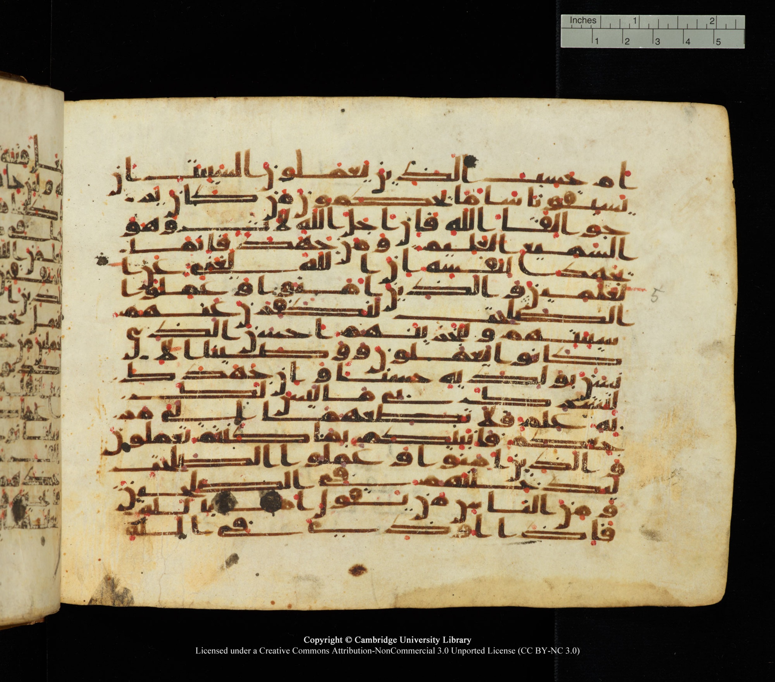 Cambridge University Library, MS Add.1139, in Kūfī C II script, showing Surah 29:4 from 10th or 11th century AD found in Sinai Peninsula, currently housed at Cambridge University Library, Cambridge