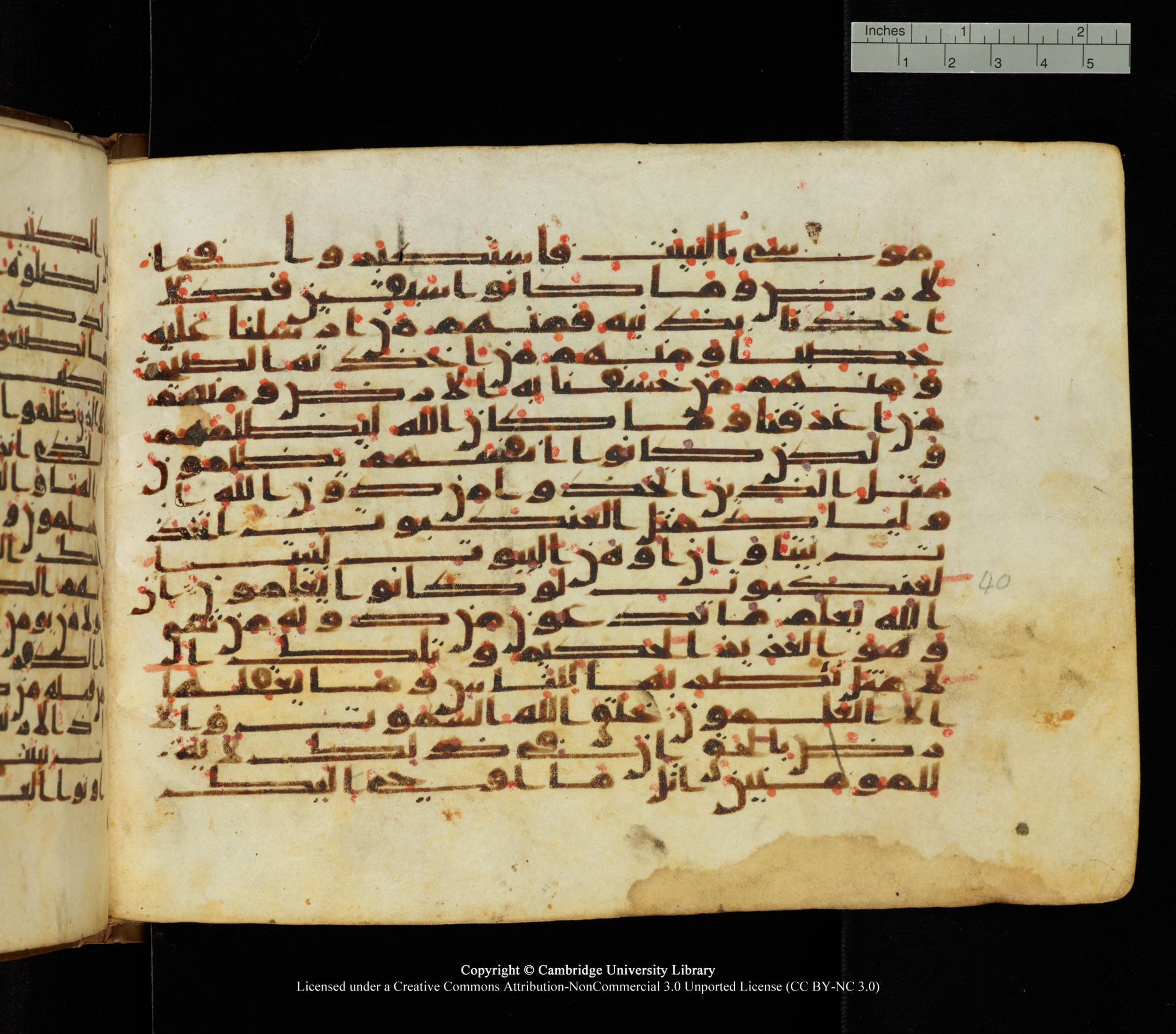 Cambridge University Library, MS Add.1139 (Scan 2), in Kūfī C II script, showing Surah 29:39 from 10th or 11th century AD found in Sinai Peninsula, currently housed at Cambridge University Library, Cambridge