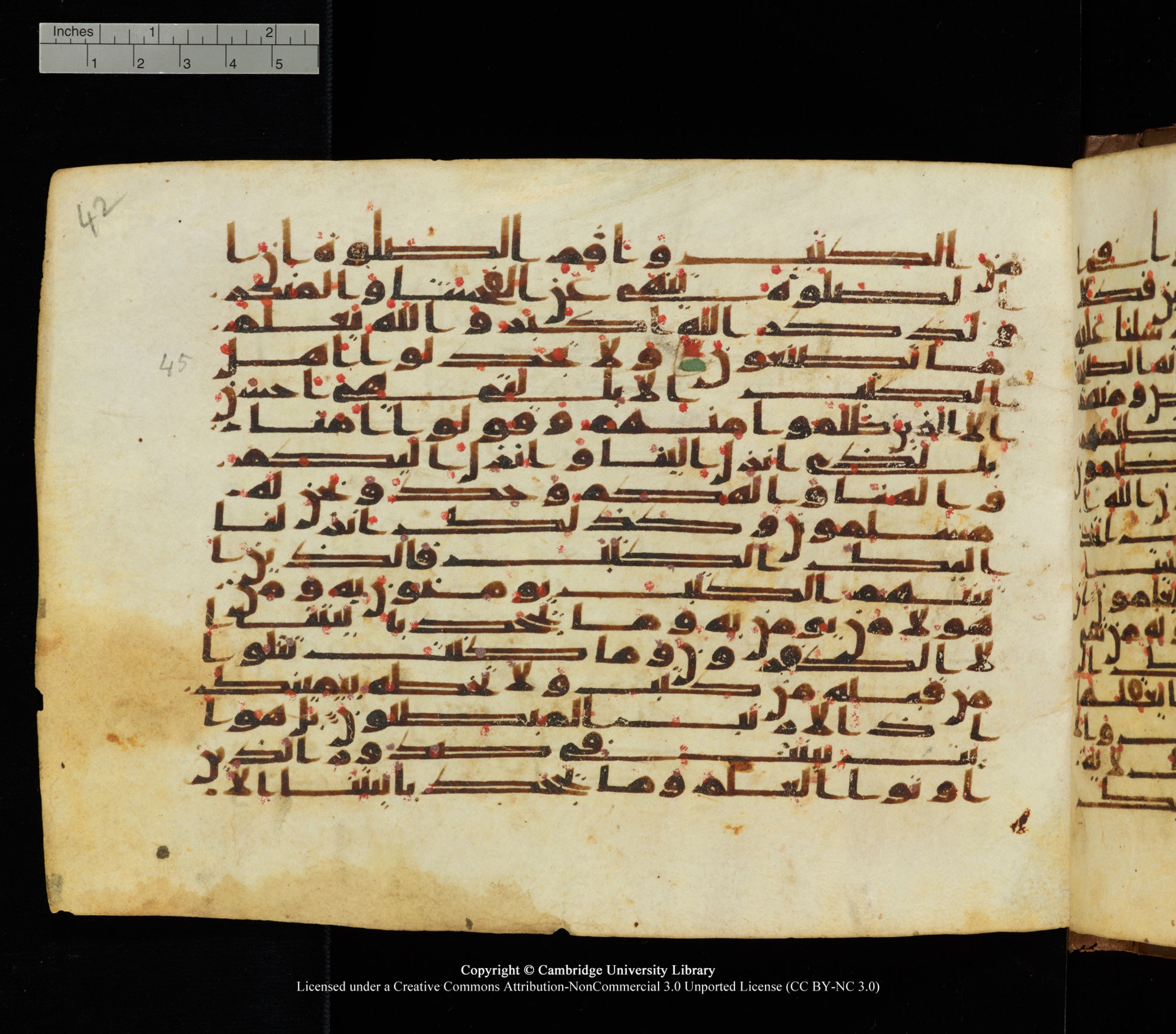 Cambridge University Library, MS Add.1139 (Scan 1), in Kūfī C II script, showing Surah 29:49 from 10th or 11th century AD found in Sinai Peninsula, currently housed at Cambridge University Library, Cambridge