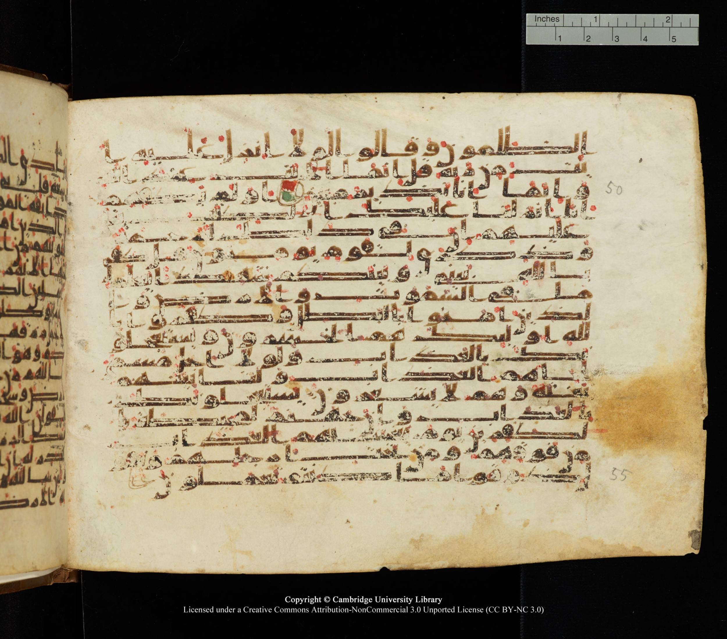 Cambridge University Library, MS Add.1139 (Scan 2), in Kūfī C II script, showing Surah 29:49 from 10th or 11th century AD found in Sinai Peninsula, currently housed at Cambridge University Library, Cambridge