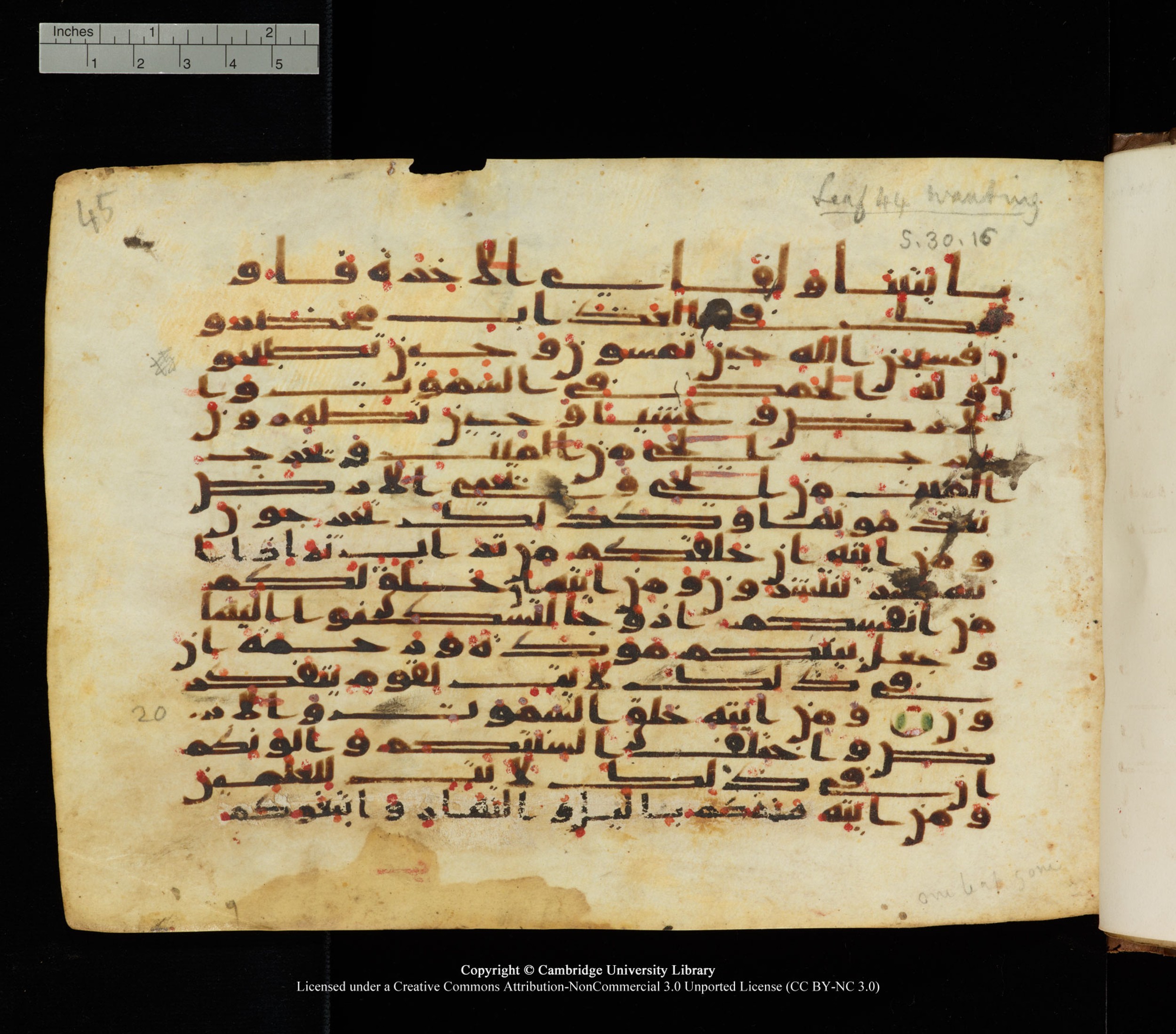 Cambridge University Library, MS Add.1139, in Kūfī C II script, showing Surah 30:22 from 10th or 11th century AD found in Sinai Peninsula, currently housed at Cambridge University Library, Cambridge