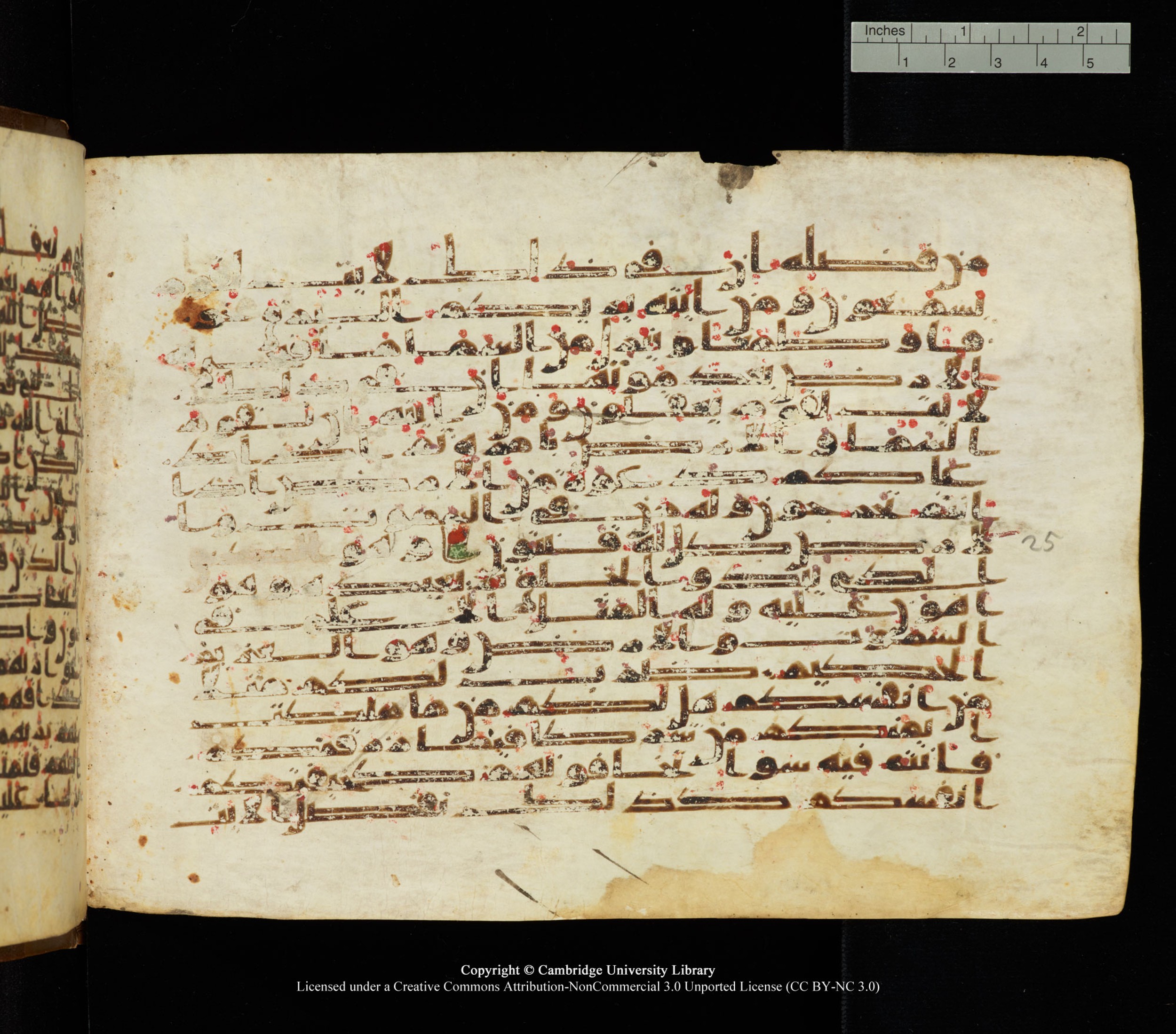 Cambridge University Library, MS Add.1139 (Scan 2), in Kūfī C II script, showing Surah 30:23 from 10th or 11th century AD found in Sinai Peninsula, currently housed at Cambridge University Library, Cambridge