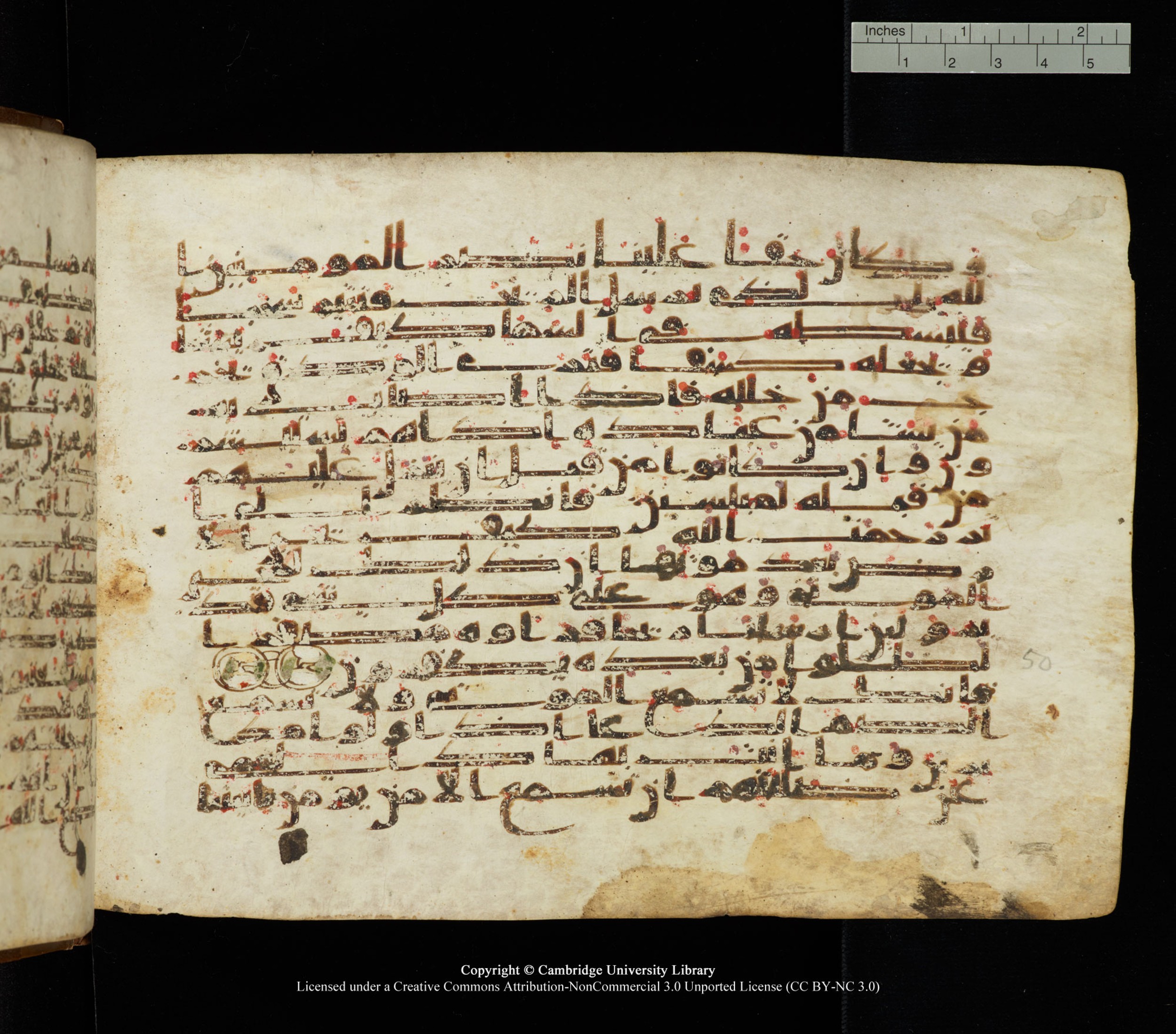 Cambridge University Library, MS Add.1139, in Kūfī C II script, showing Surah 30:49 from 10th or 11th century AD found in Sinai Peninsula, currently housed at Cambridge University Library, Cambridge