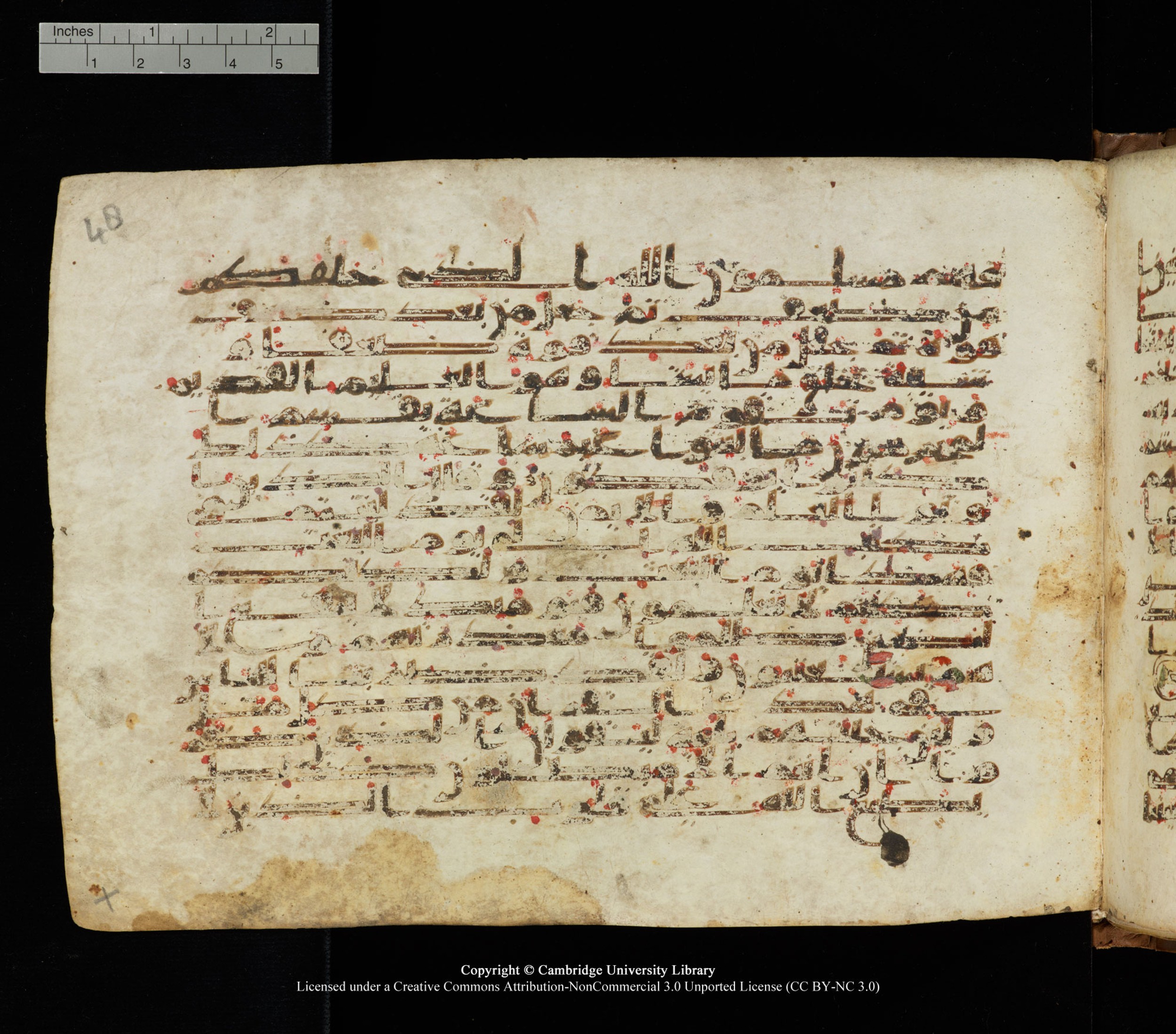 Cambridge University Library, MS Add.1139, in Kūfī C II script, showing Surah 30:56 from 10th or 11th century AD found in Sinai Peninsula, currently housed at Cambridge University Library, Cambridge