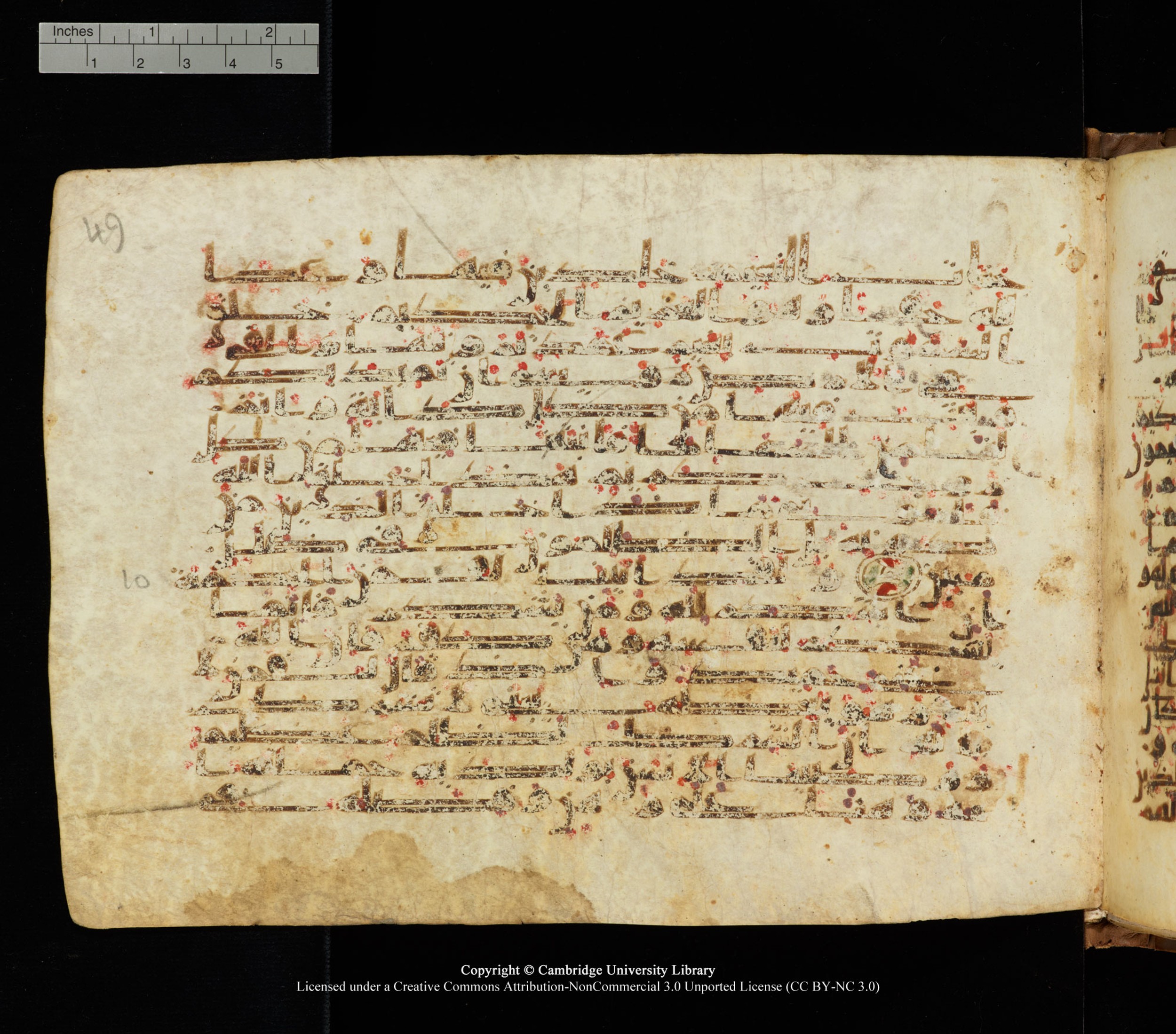Cambridge University Library, MS Add.1139, in Kūfī C II script, showing Surah 31:13 from 10th or 11th century AD found in Sinai Peninsula, currently housed at Cambridge University Library, Cambridge