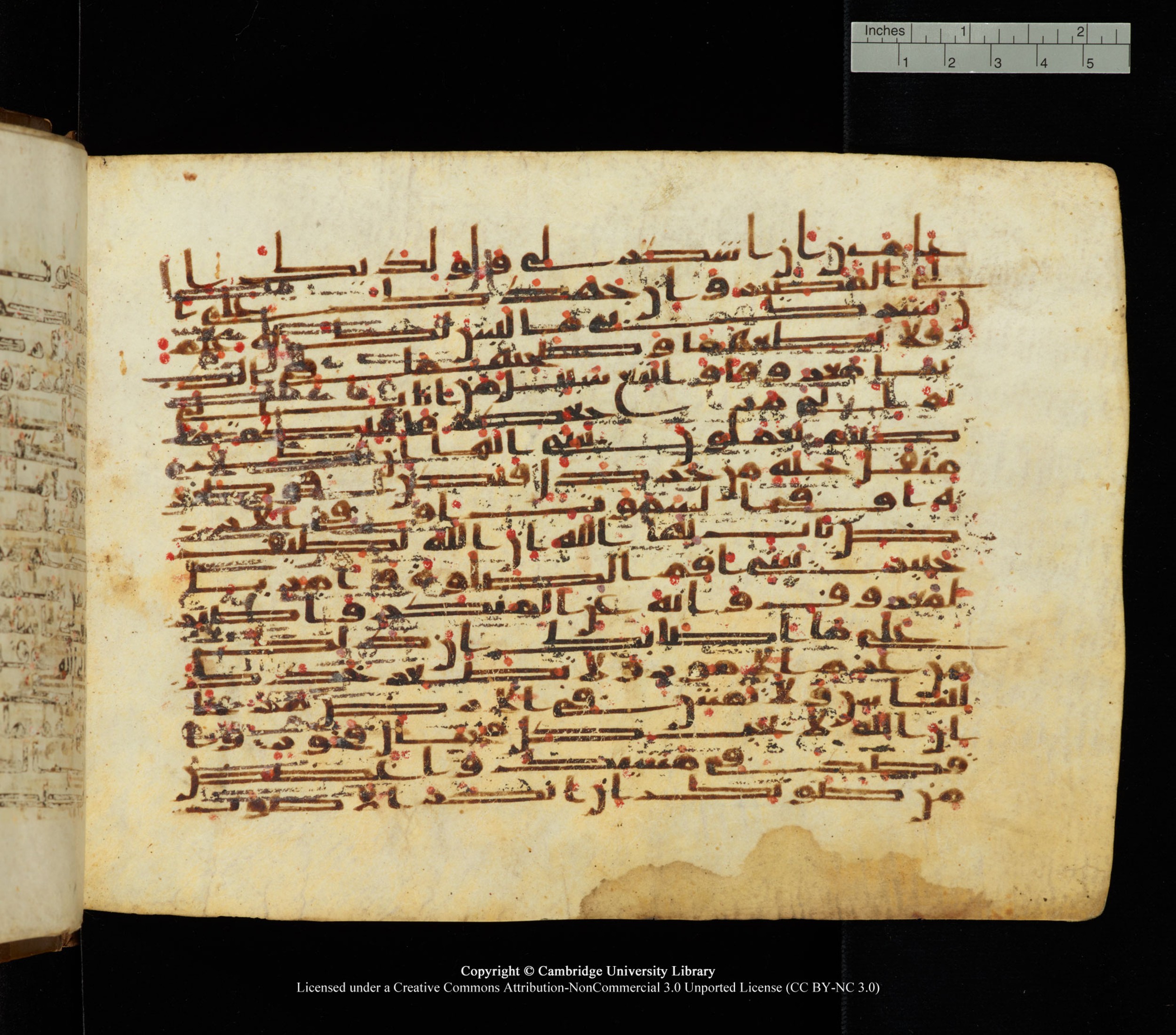 Cambridge University Library, MS Add.1139, in Kūfī C II script, showing Surah 31:16 from 10th or 11th century AD found in Sinai Peninsula, currently housed at Cambridge University Library, Cambridge