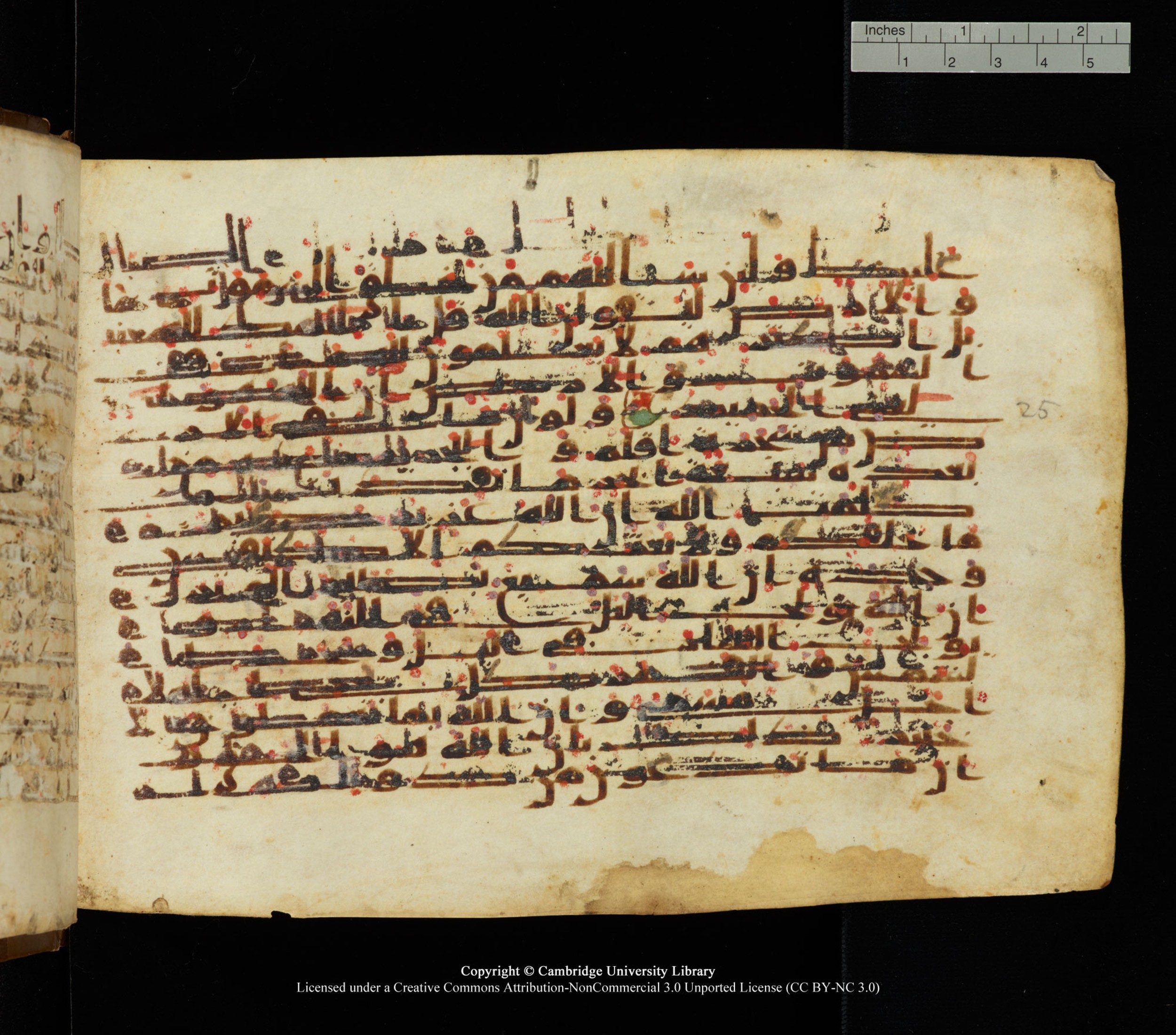 Cambridge University Library, MS Add.1139, in Kūfī C II script, showing Surah 31:28 from 10th or 11th century AD found in Sinai Peninsula, currently housed at Cambridge University Library, Cambridge