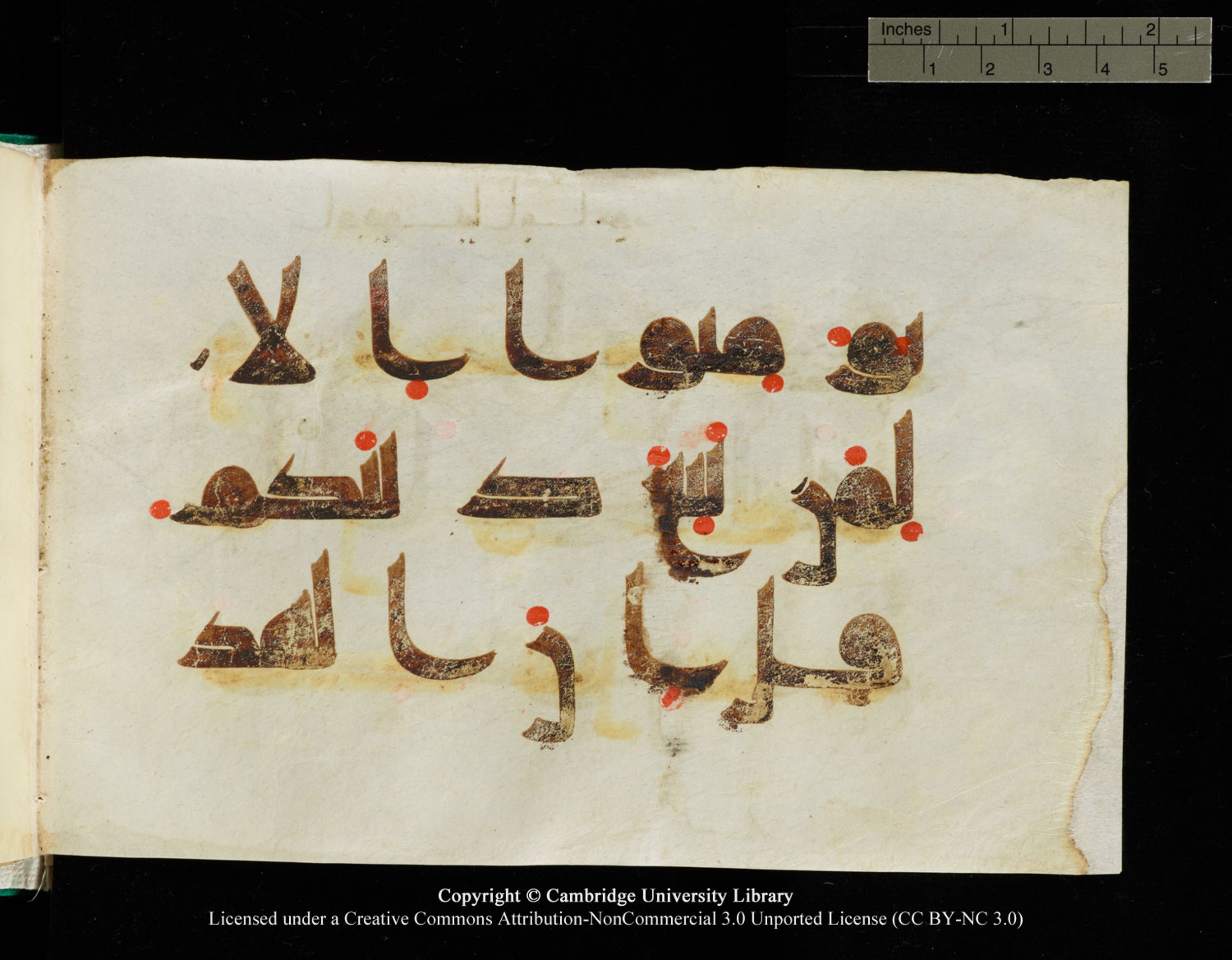 Cambridge, Cambridge University Library, MS Add.1116 (Scan 2), in Kūfī D.I script, showing Surah 3:73 from 9th Century AD (before 876 AD) found in Sinai Peninsula, currently housed at Cambridge University Library, Cambridge, UK