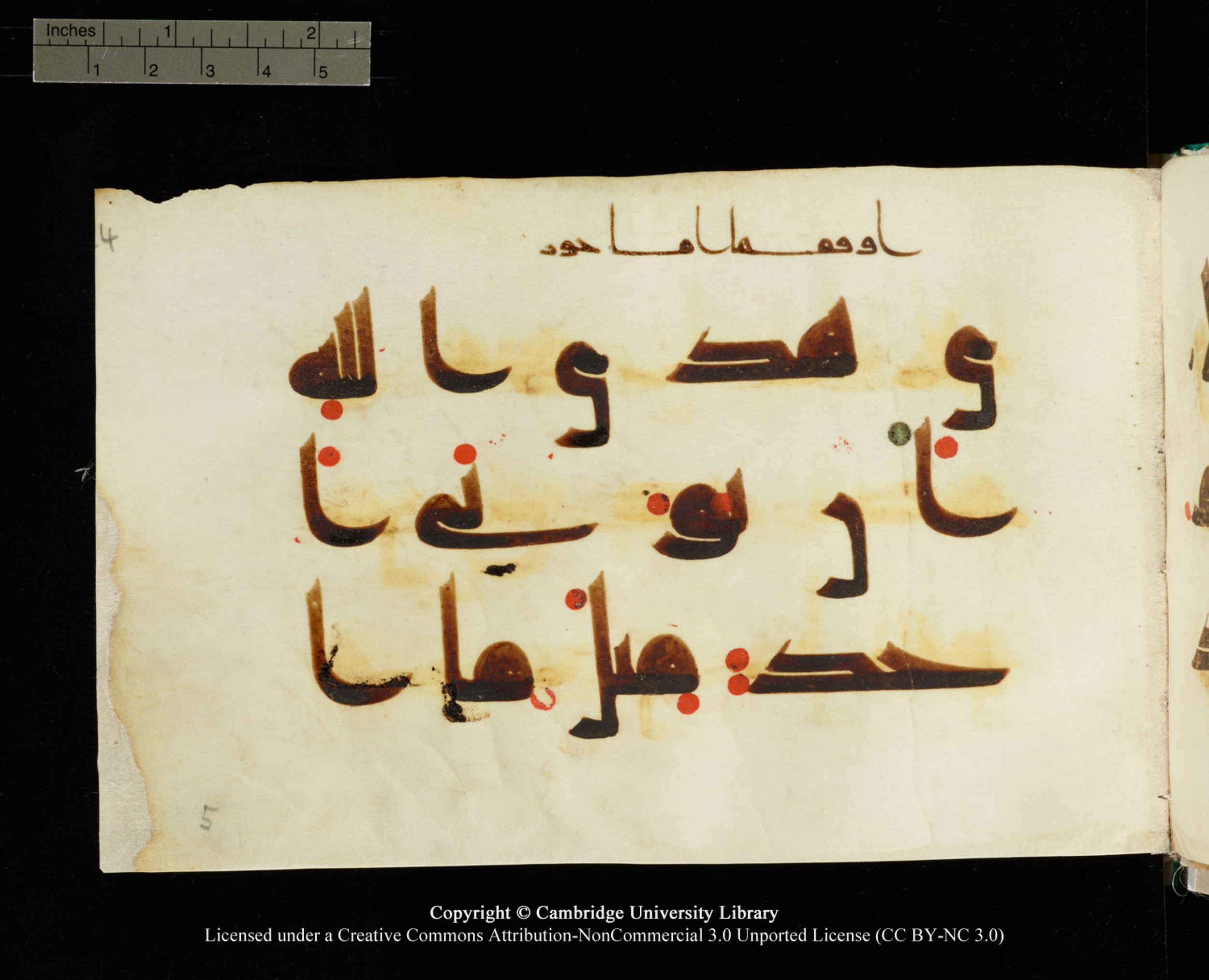 Cambridge, Cambridge University Library, MS Add.1116 (Scan 3), in Kūfī D.I script, showing Surah 3:73 from 9th Century AD (before 876 AD) found in Sinai Peninsula, currently housed at Cambridge University Library, Cambridge, UK