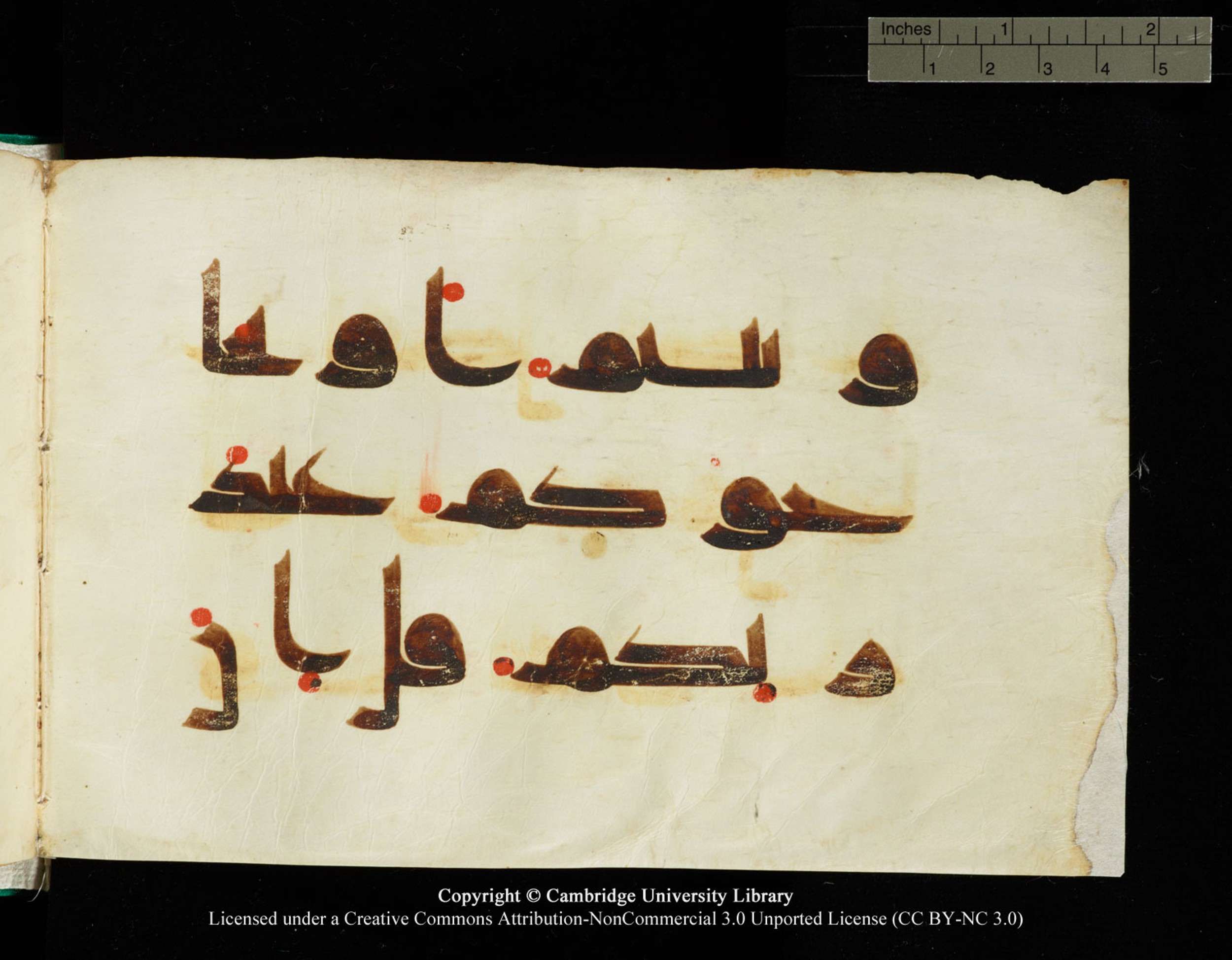 Cambridge, Cambridge University Library, MS Add.1116 (Scan 4), in Kūfī D.I script, showing Surah 3:73 from 9th Century AD (before 876 AD) found in Sinai Peninsula, currently housed at Cambridge University Library, Cambridge, UK