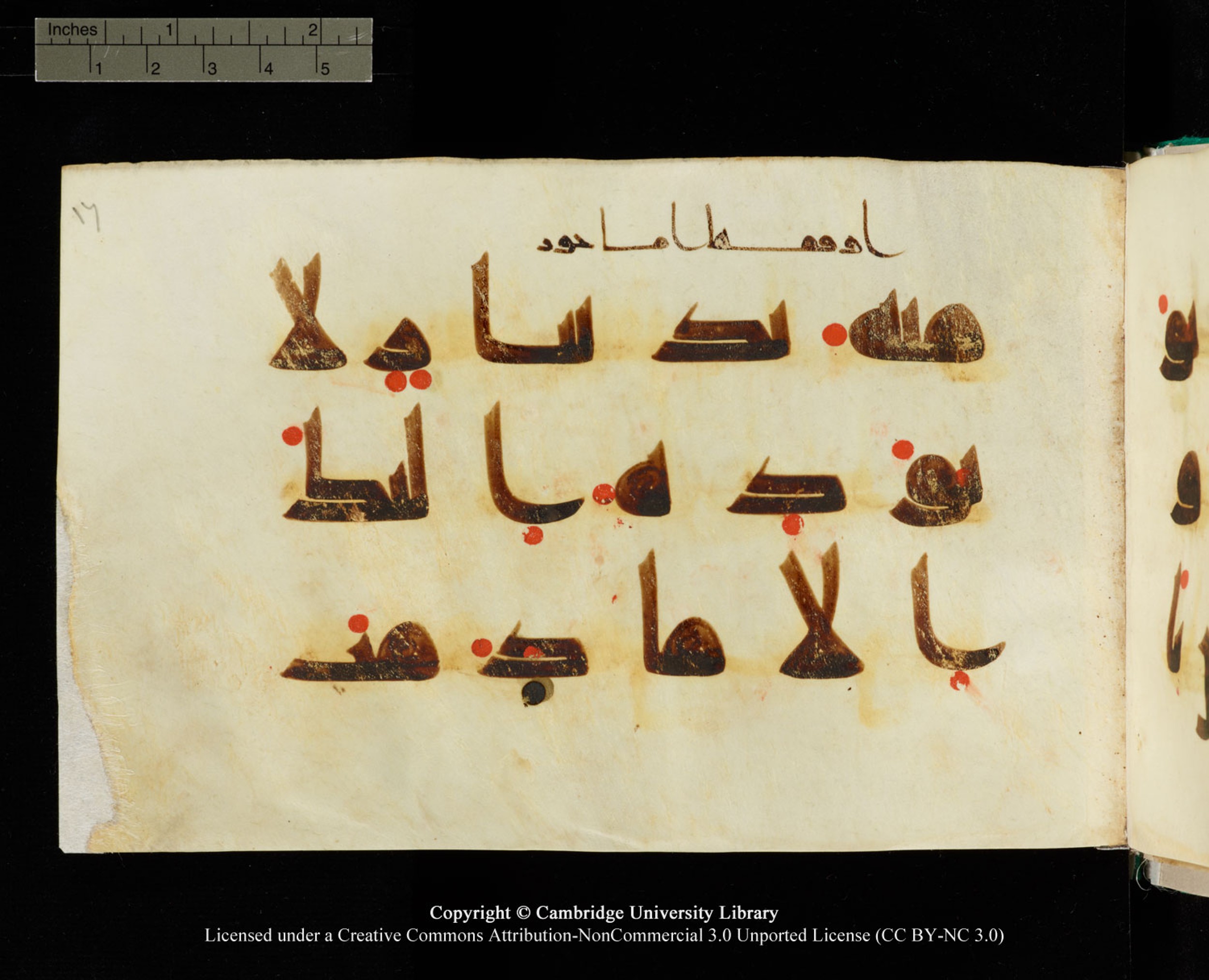 Cambridge, Cambridge University Library, MS Add.1116 (Scan 3), in Kūfī D.I script, showing Surah 3:75 from 9th Century AD (before 876 AD) found in Sinai Peninsula, currently housed at Cambridge University Library, Cambridge, UK
