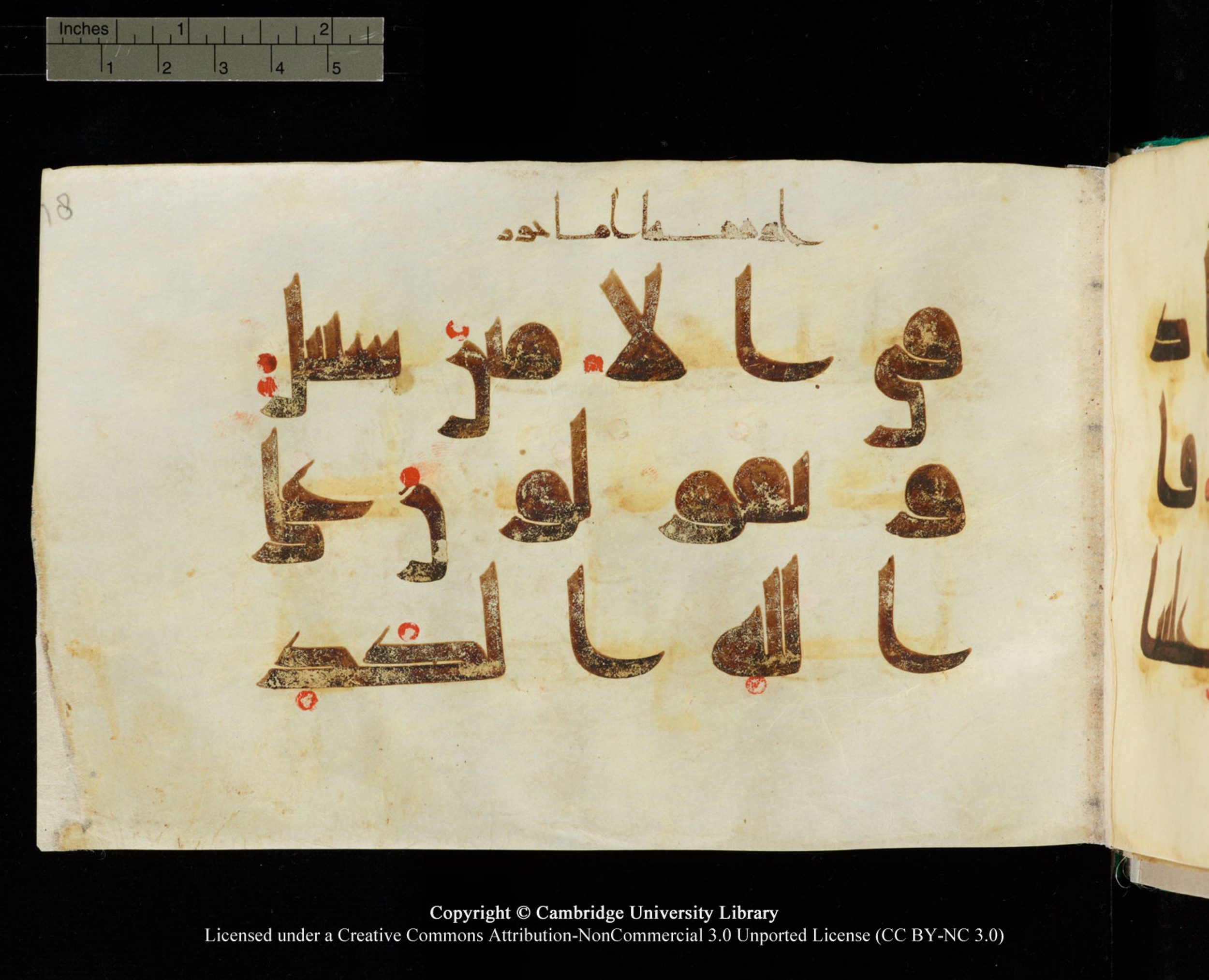 Cambridge, Cambridge University Library, MS Add.1116 (Scan 5), in Kūfī D.I script, showing Surah 3:75 from 9th Century AD (before 876 AD) found in Sinai Peninsula, currently housed at Cambridge University Library, Cambridge, UK