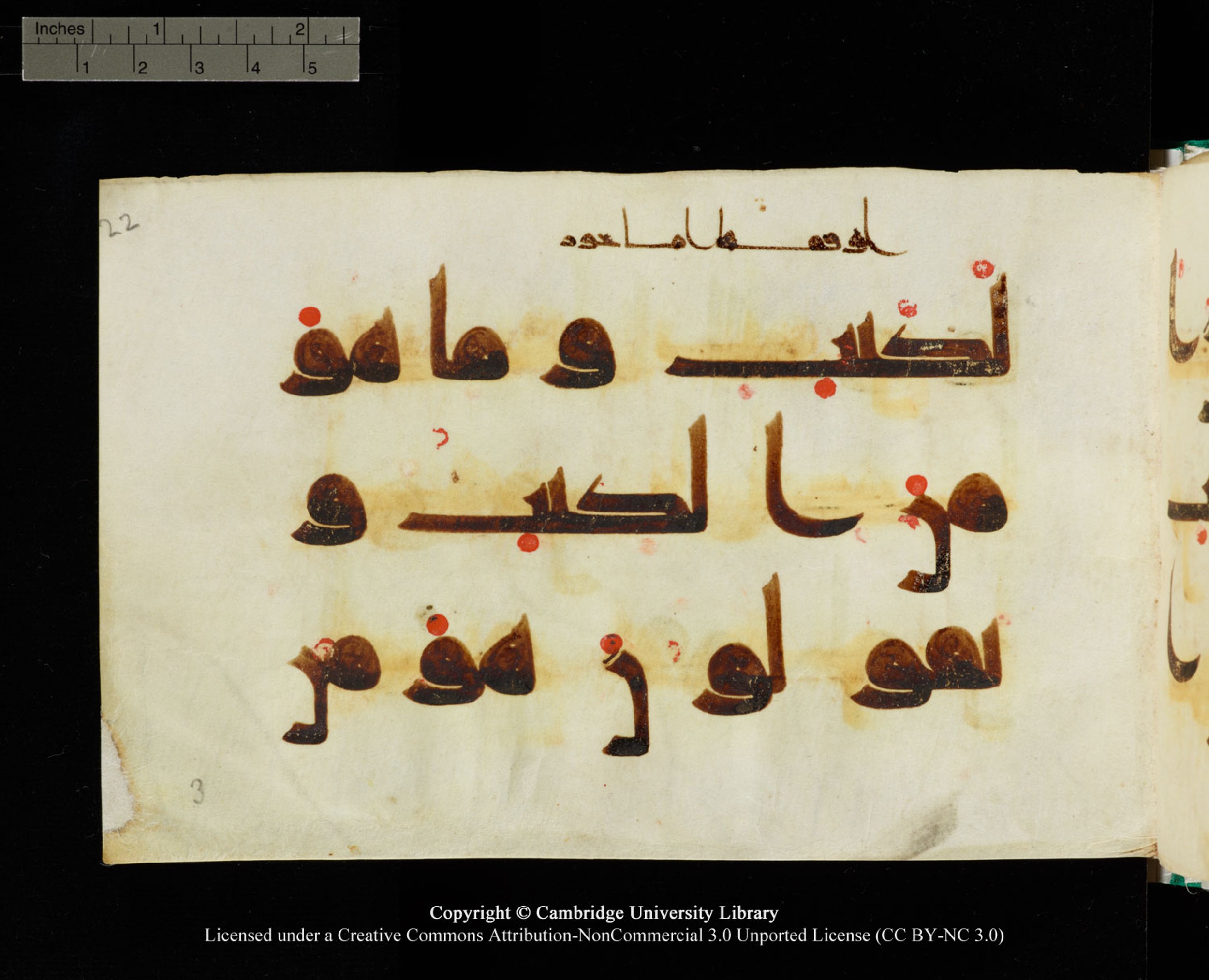 Cambridge, Cambridge University Library, MS Add.1116 (Scan 3), in Kūfī D.I script, showing Surah 3:78 from 9th Century AD (before 876 AD) found in Sinai Peninsula, currently housed at Cambridge University Library, Cambridge, UK