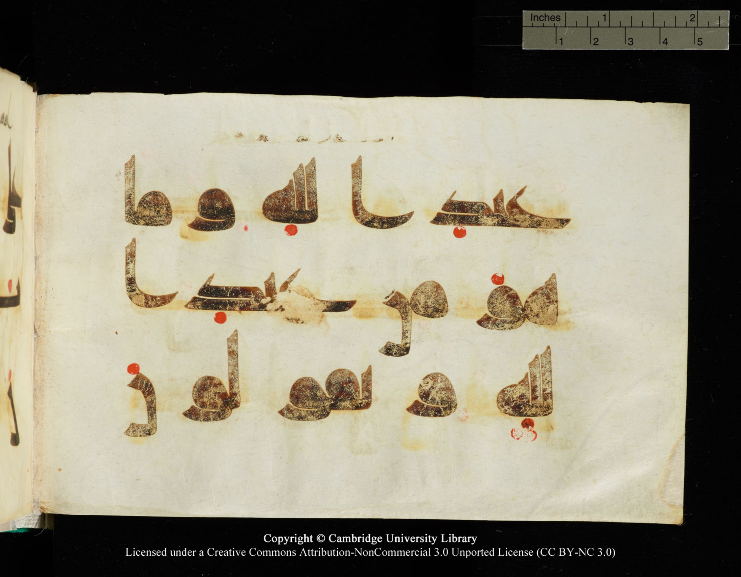 Cambridge, Cambridge University Library, MS Add.1116 (Scan 4), in Kūfī D.I script, showing Surah 3:78 from 9th Century AD (before 876 AD) found in Sinai Peninsula, currently housed at Cambridge University Library, Cambridge, UK