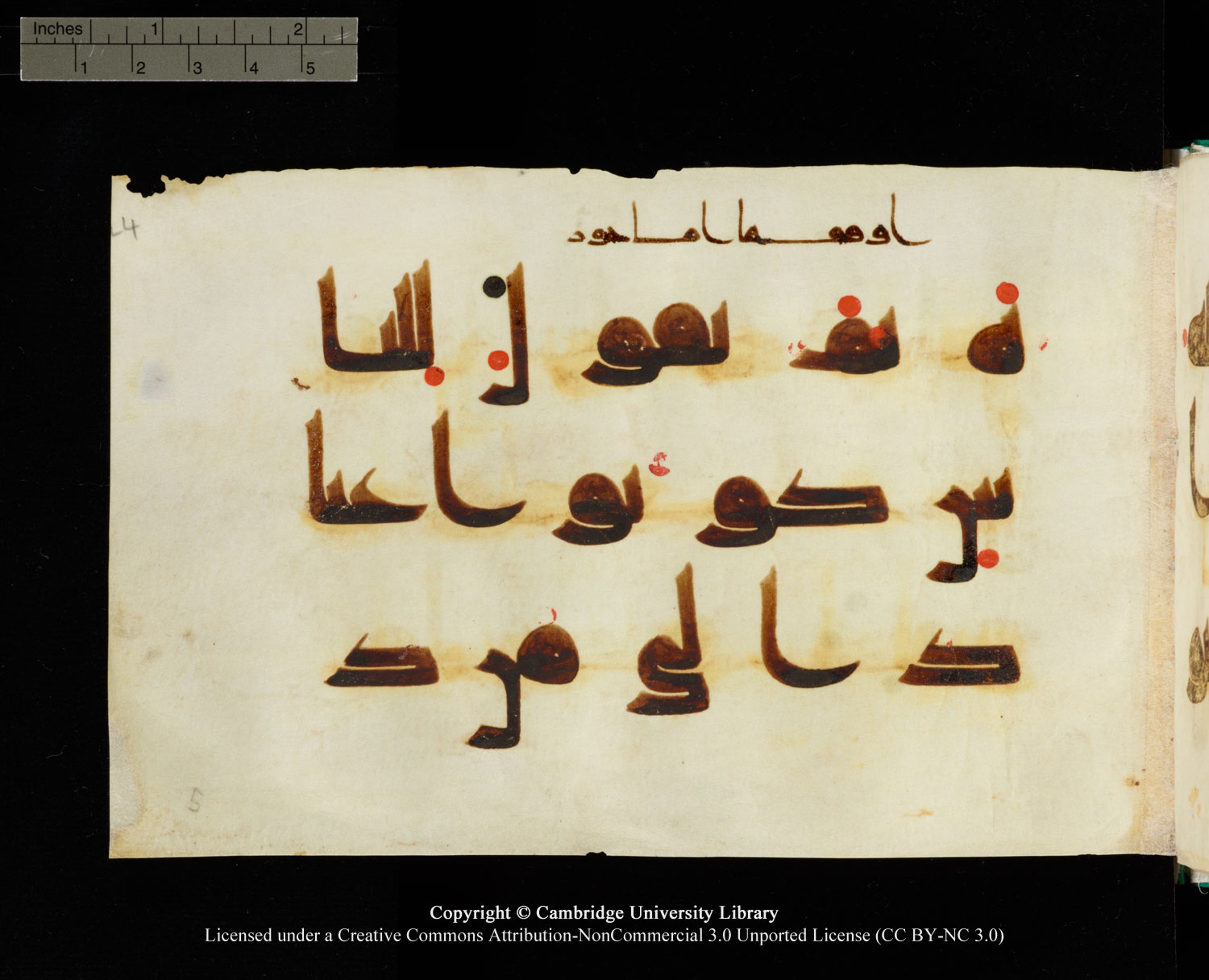 Cambridge, Cambridge University Library, MS Add.1116 (Scan 3), in Kūfī D.I script, showing Surah 3:79 from 9th Century AD (before 876 AD) found in Sinai Peninsula, currently housed at Cambridge University Library, Cambridge, UK