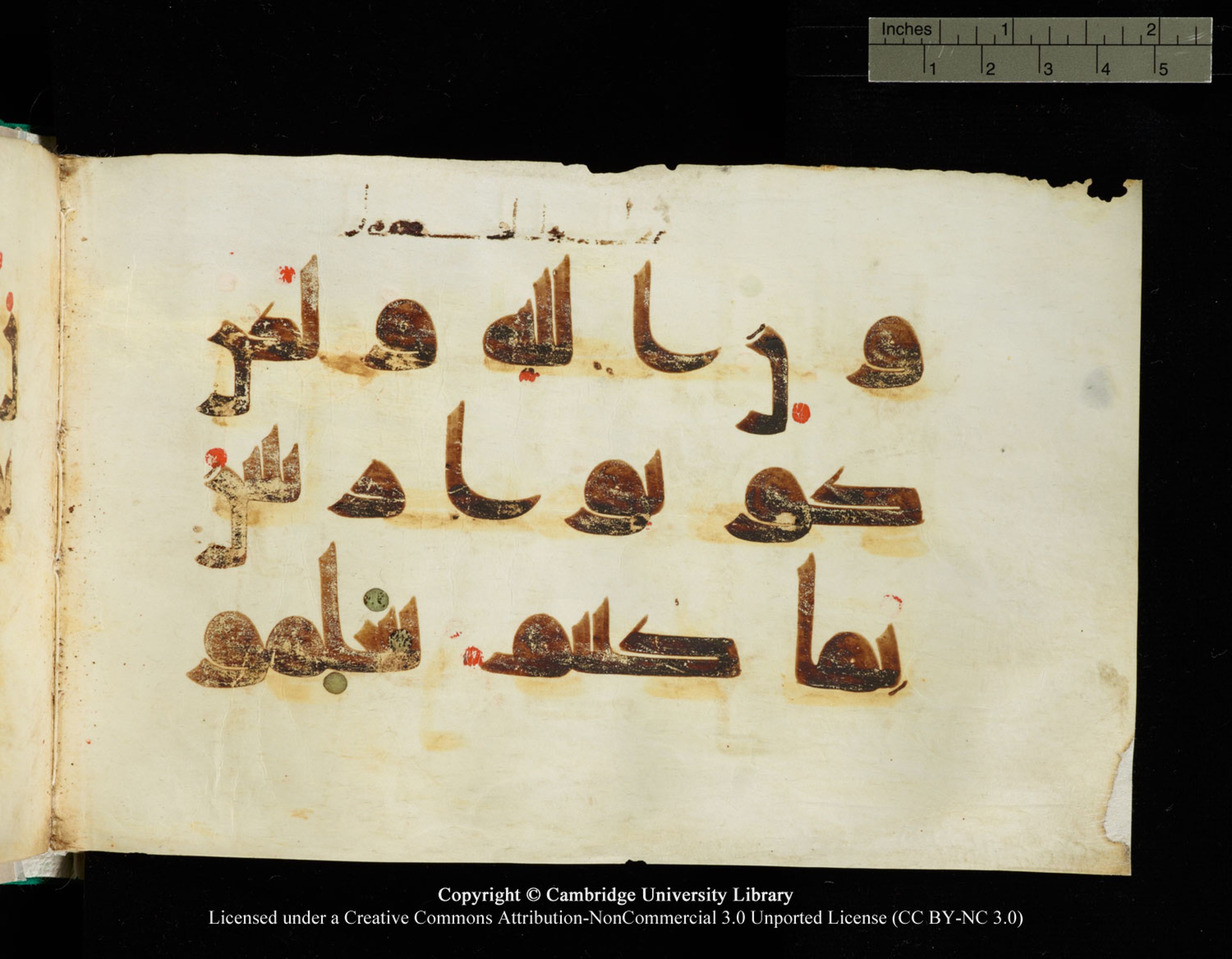 Cambridge, Cambridge University Library, MS Add.1116 (Scan 4), in Kūfī D.I script, showing Surah 3:79 from 9th Century AD (before 876 AD) found in Sinai Peninsula, currently housed at Cambridge University Library, Cambridge, UK