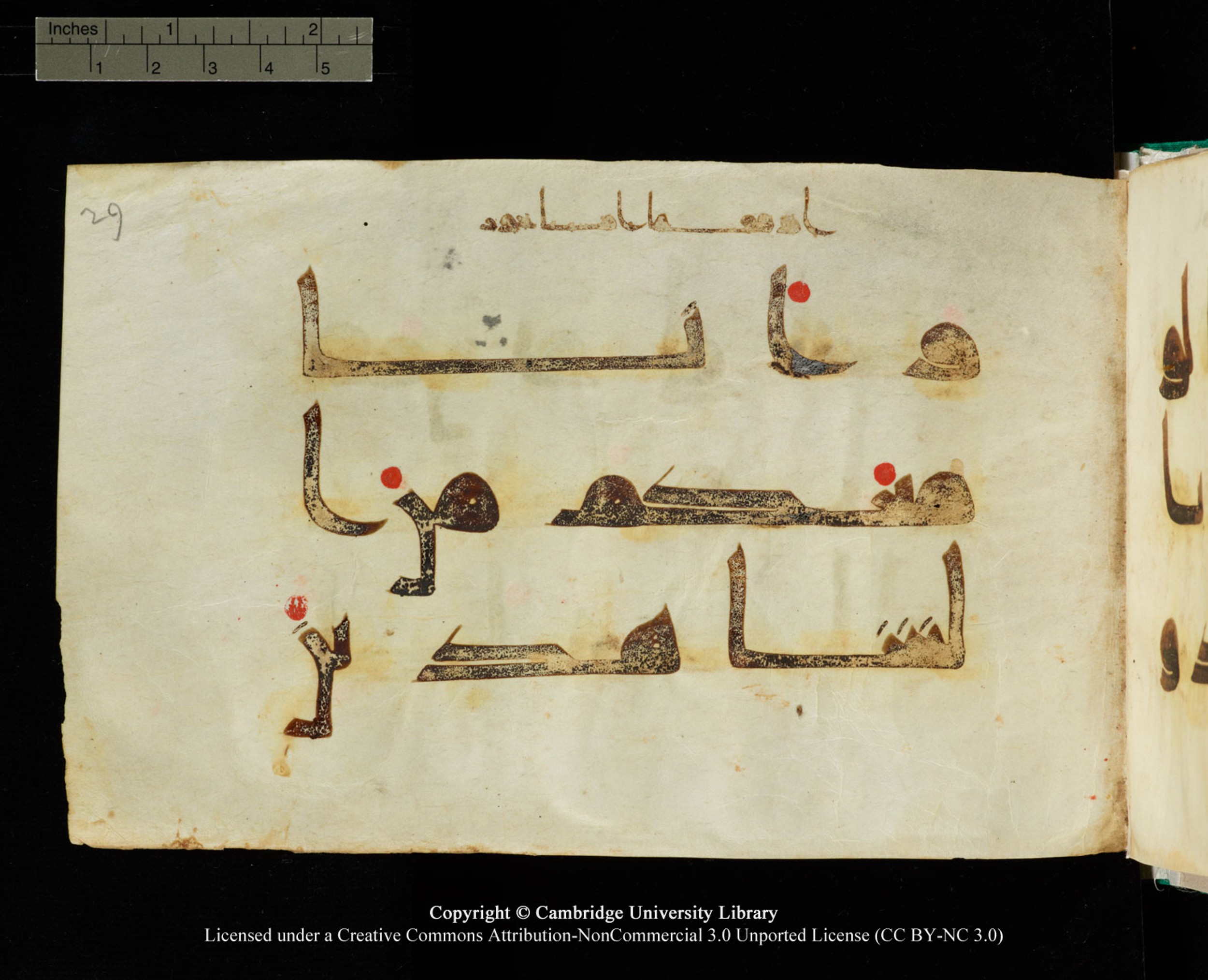 Cambridge, Cambridge University Library, MS Add.1116 (Scan 6), in Kūfī D.I script, showing Surah 3:81 from 9th Century AD (before 876 AD) found in Sinai Peninsula, currently housed at Cambridge University Library, Cambridge, UK